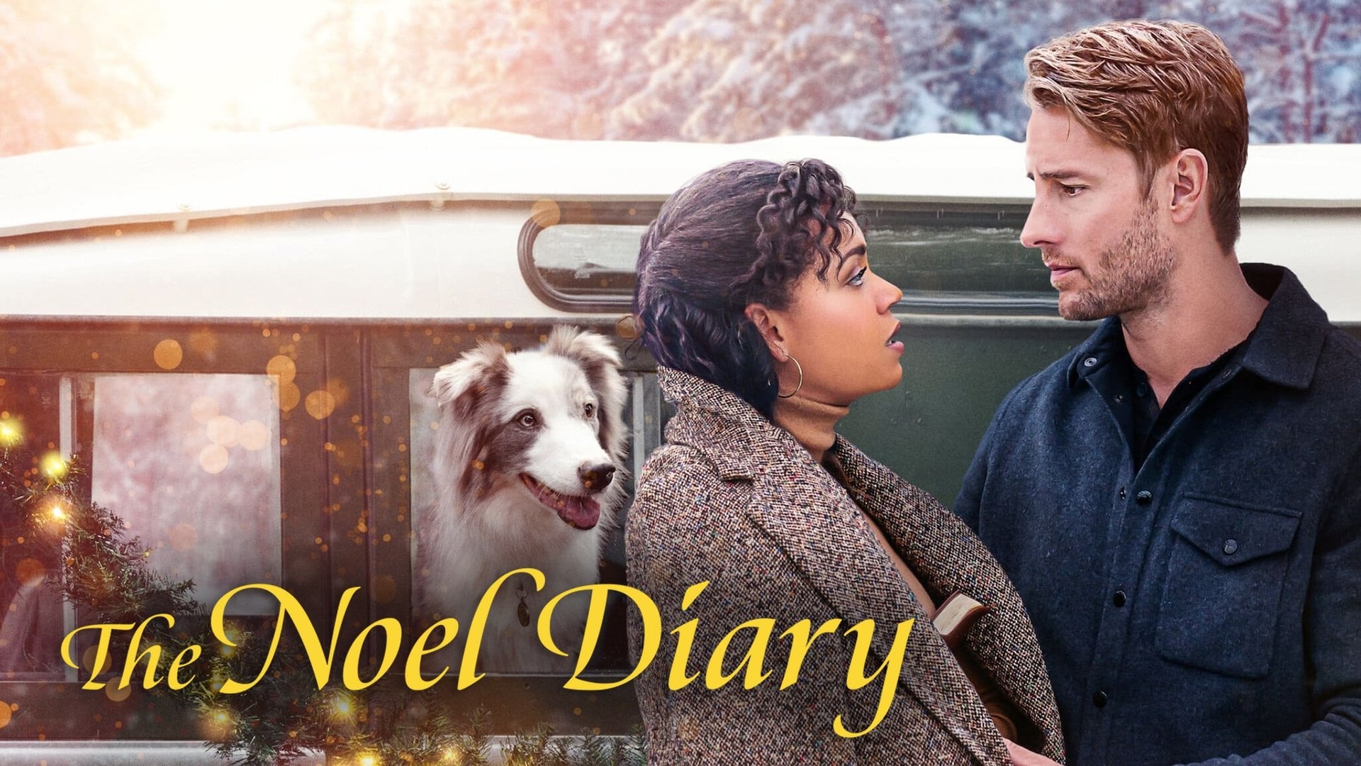 Foto do filme O Diário de Noel