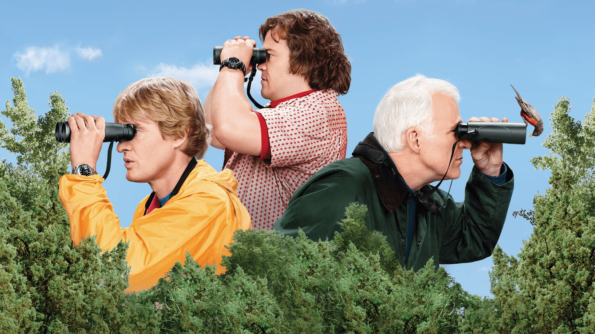 Foto do filme O Grande Ano