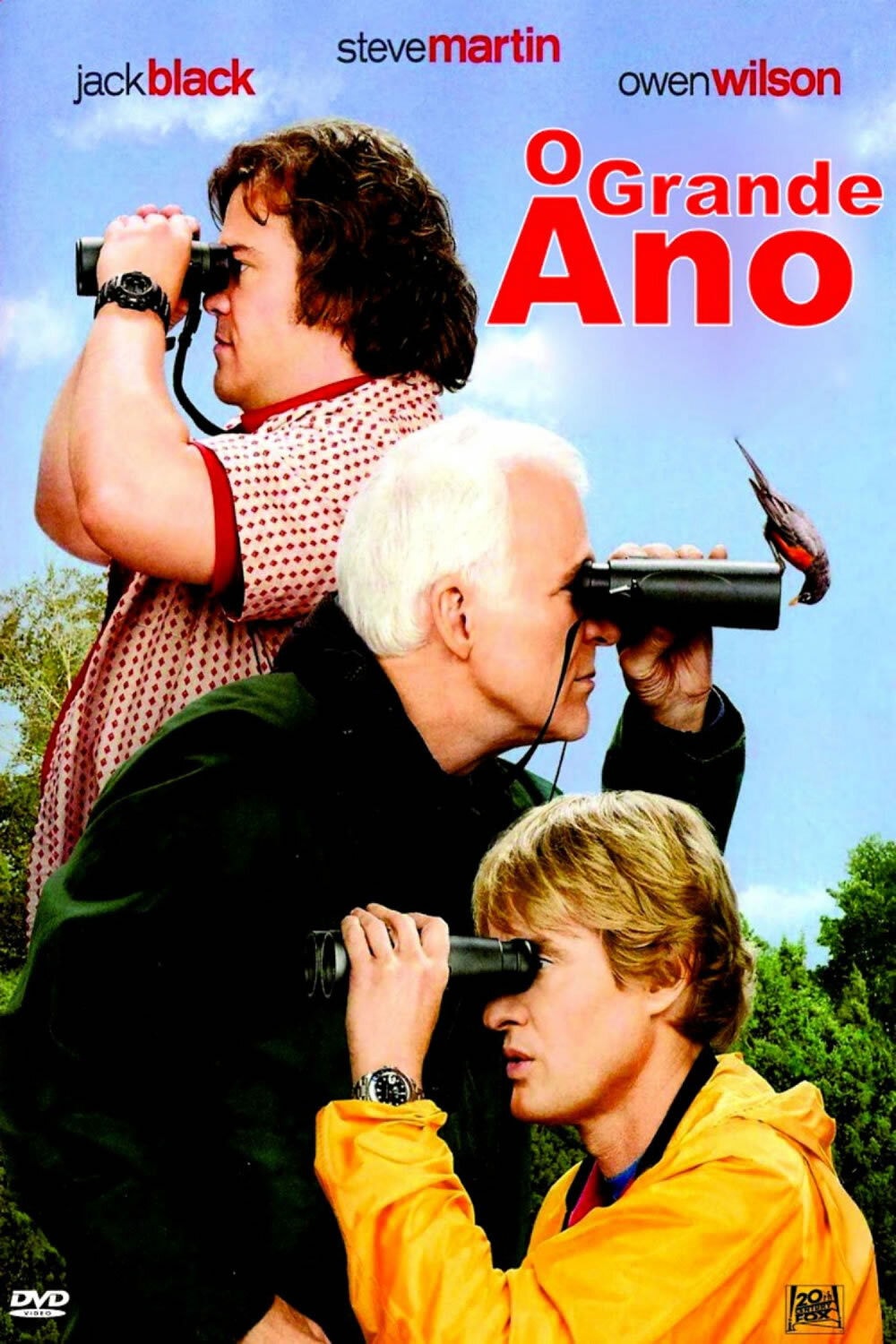 O Grande Ano