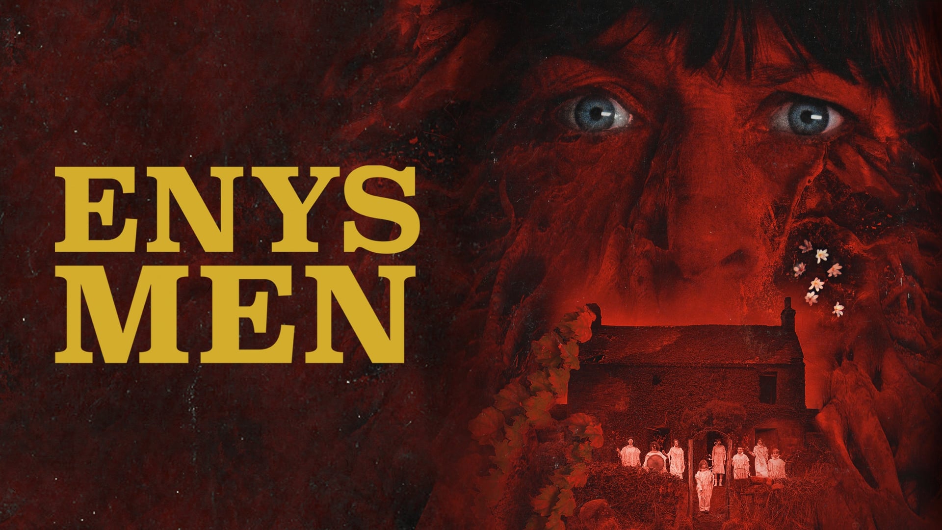 Foto do filme Enys Men