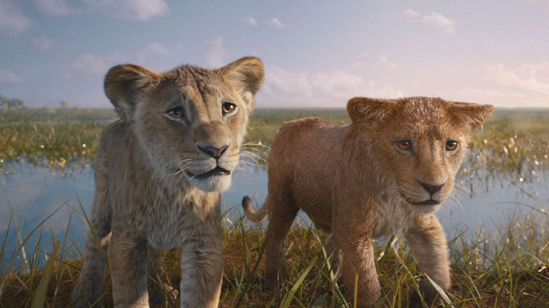 Foto do filme Mufasa: O Rei Leão