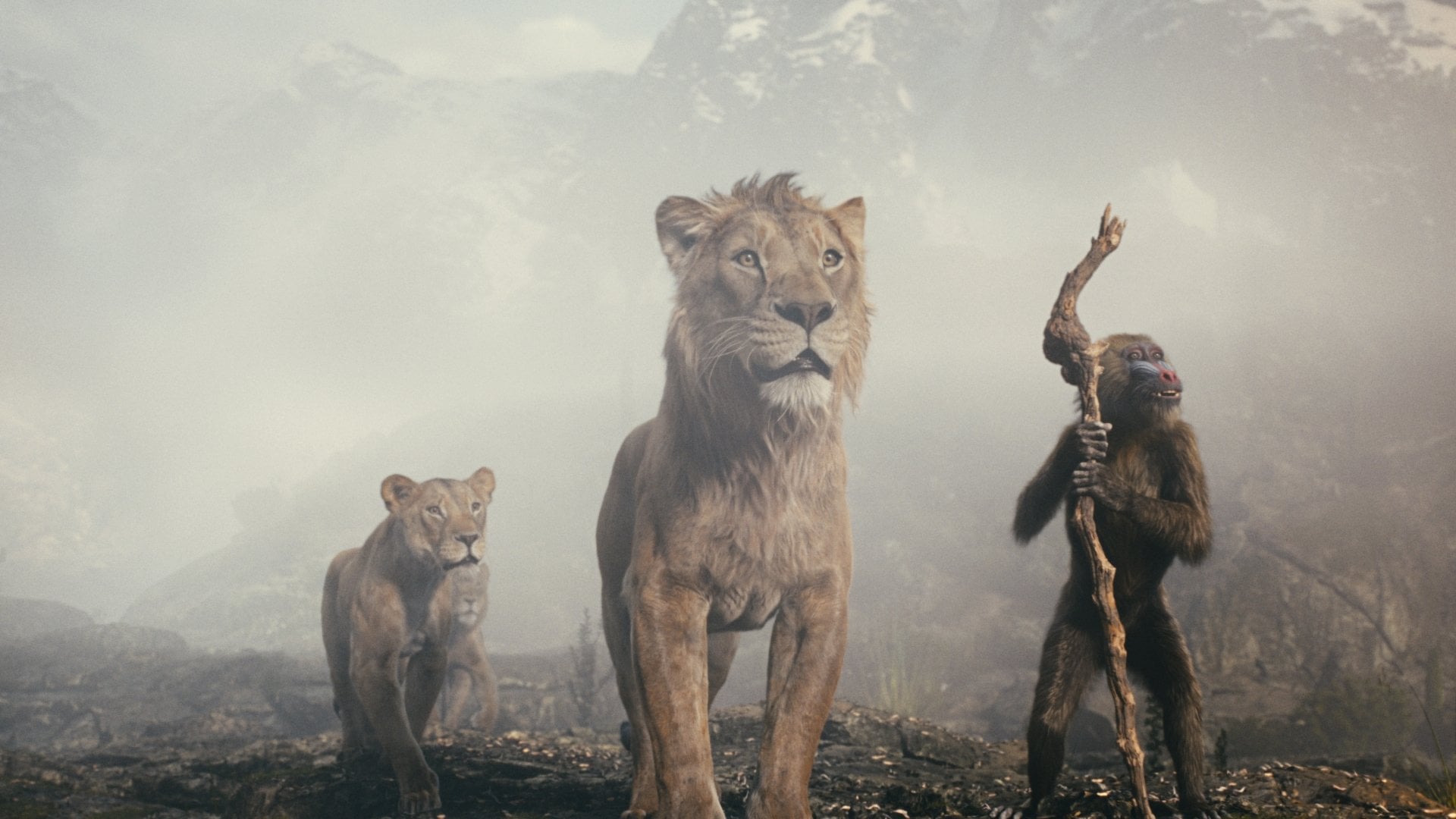 Foto do filme Mufasa: O Rei Leão