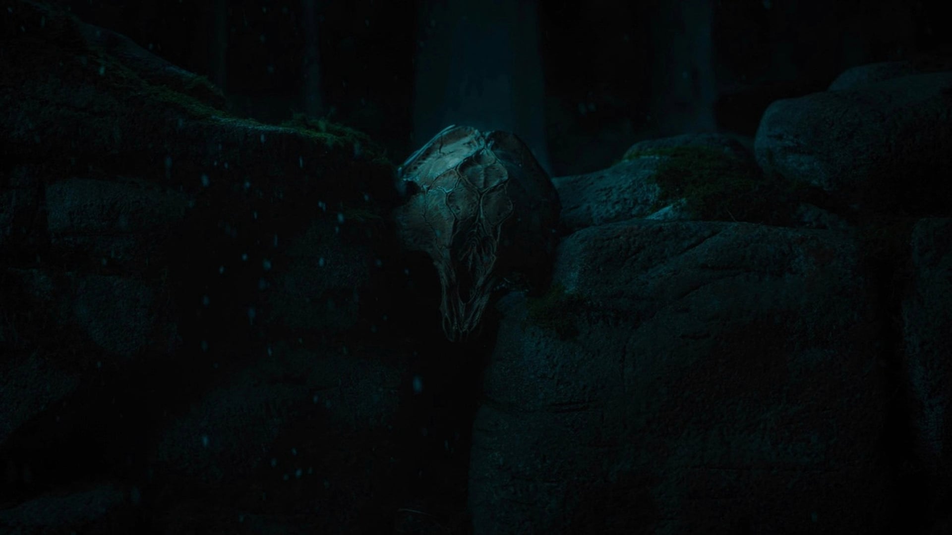 Foto do filme O Predador: A Caçada