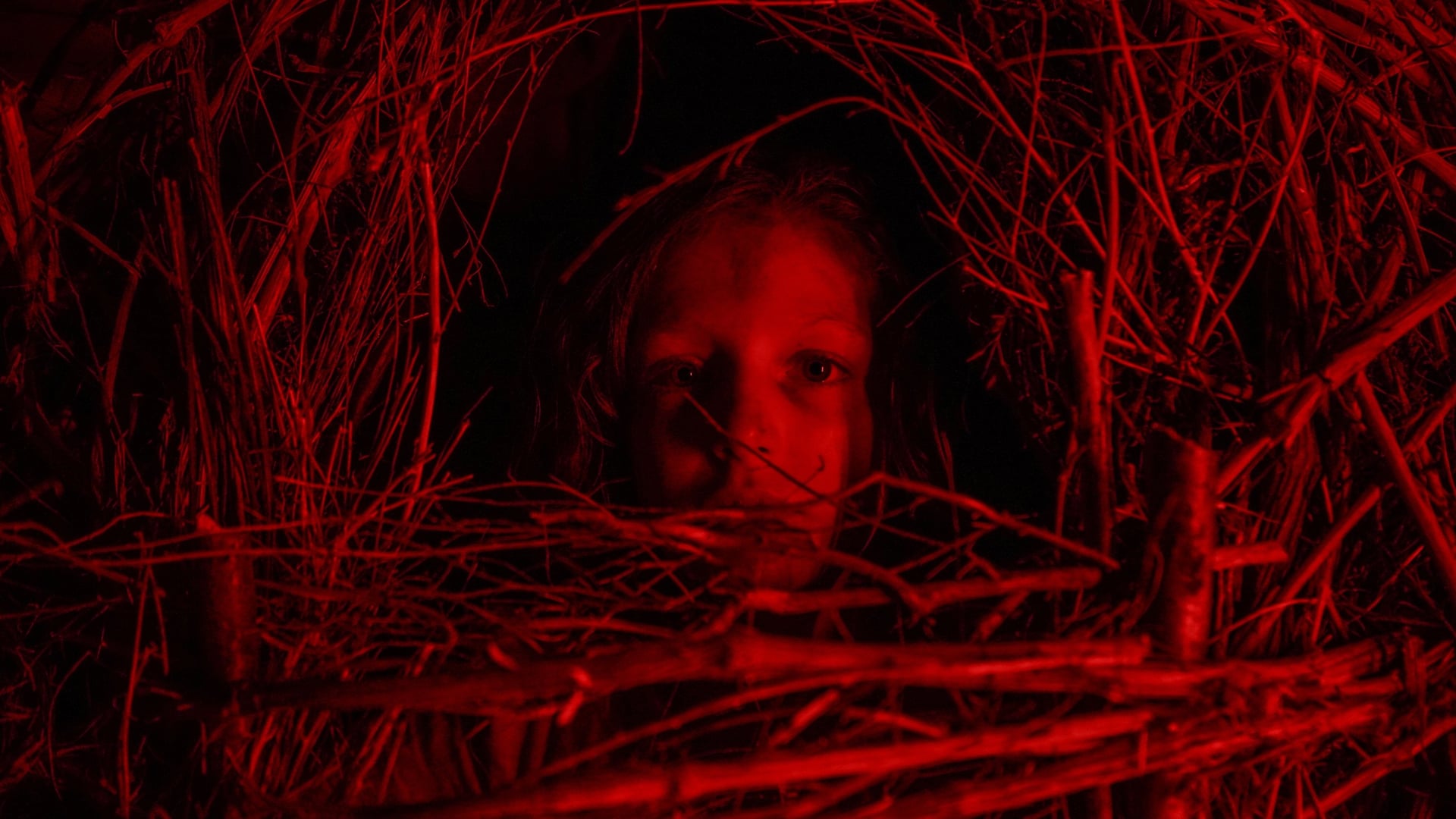 Foto do filme Um Clássico Filme de Terror