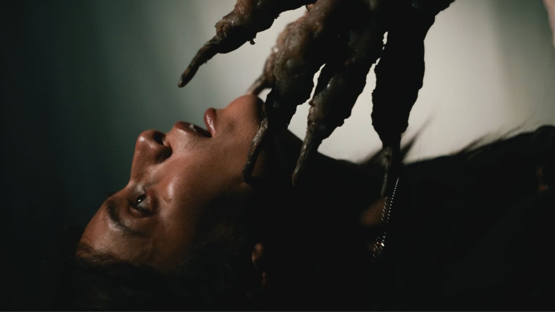Foto do filme Não Me Siga