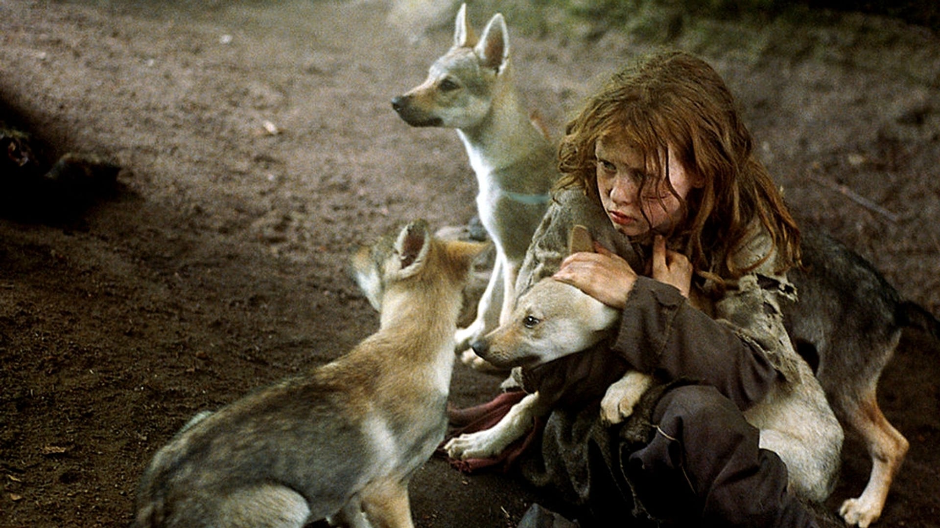 Foto do filme Misha e os Lobos