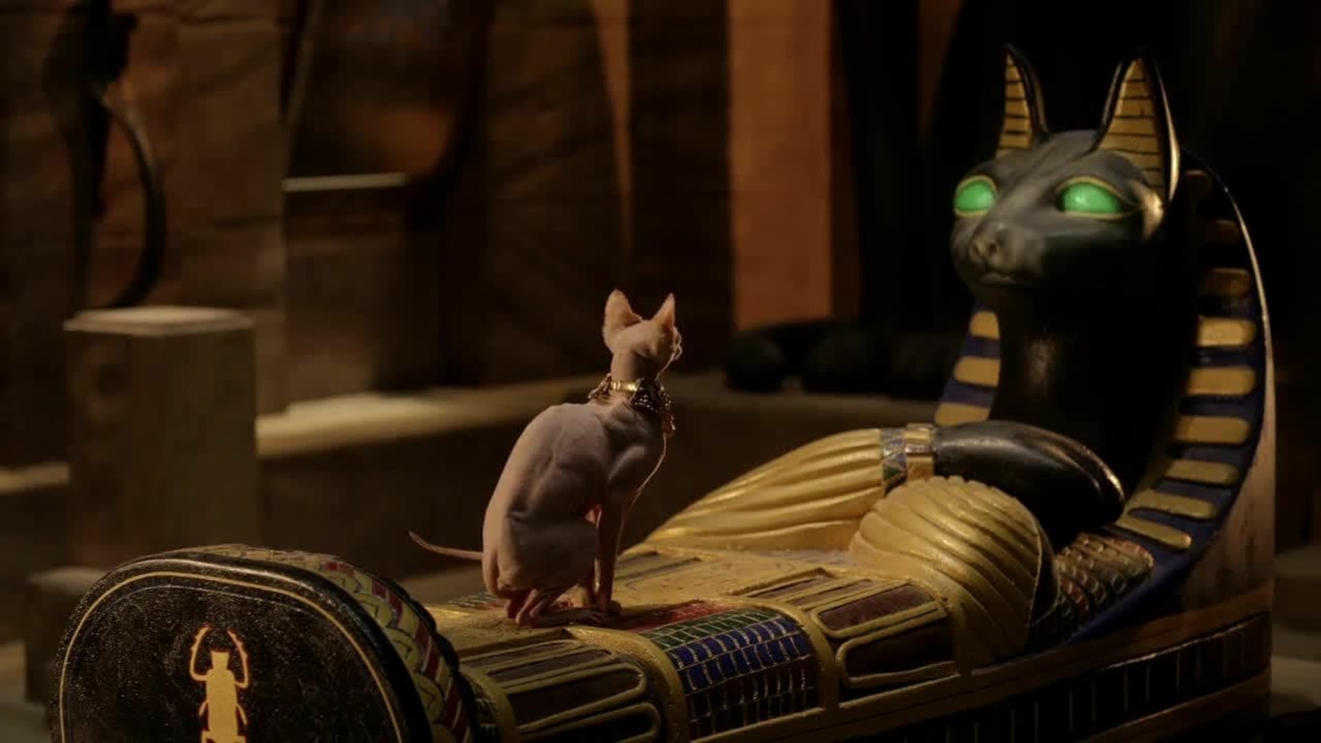 Foto do filme Treasure Buddies: Caça ao Tesouro