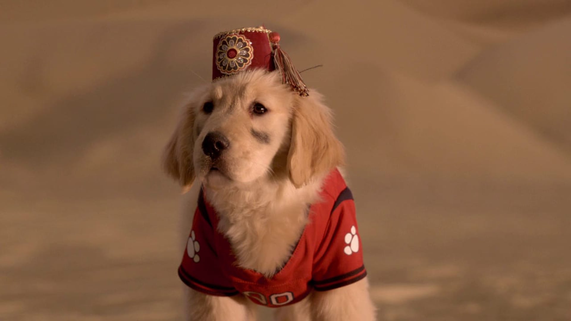 Foto do filme Treasure Buddies: Caça ao Tesouro