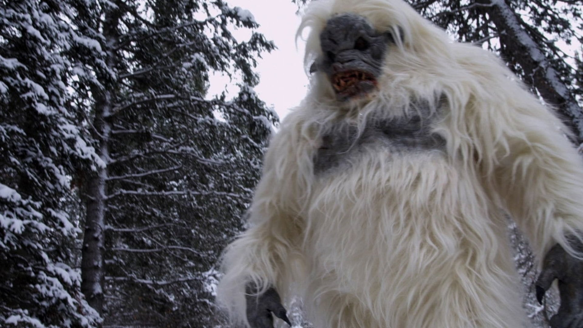 Foto do filme Fera da Neve