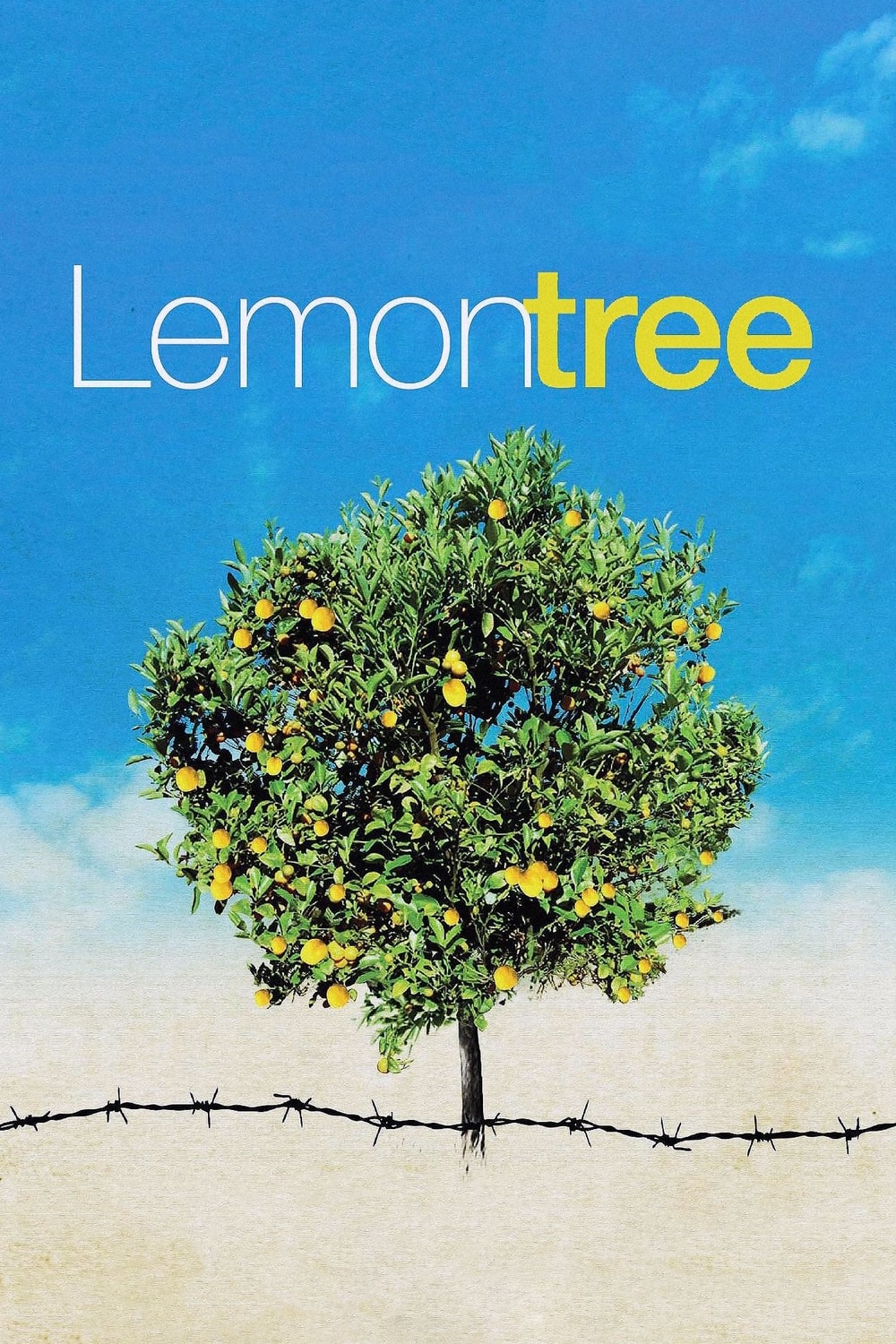Limoeiro