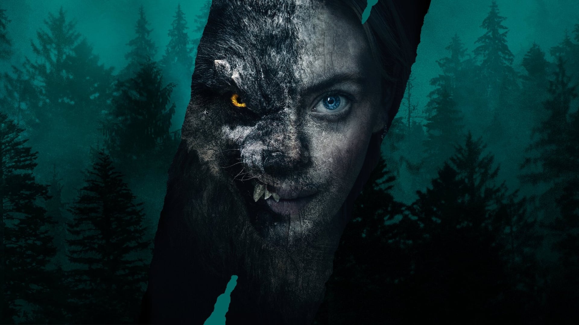 Foto do filme O Lobo Viking