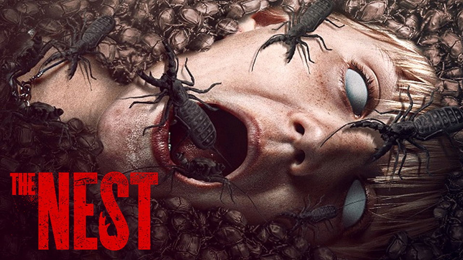 Foto do filme Infestação Assassina