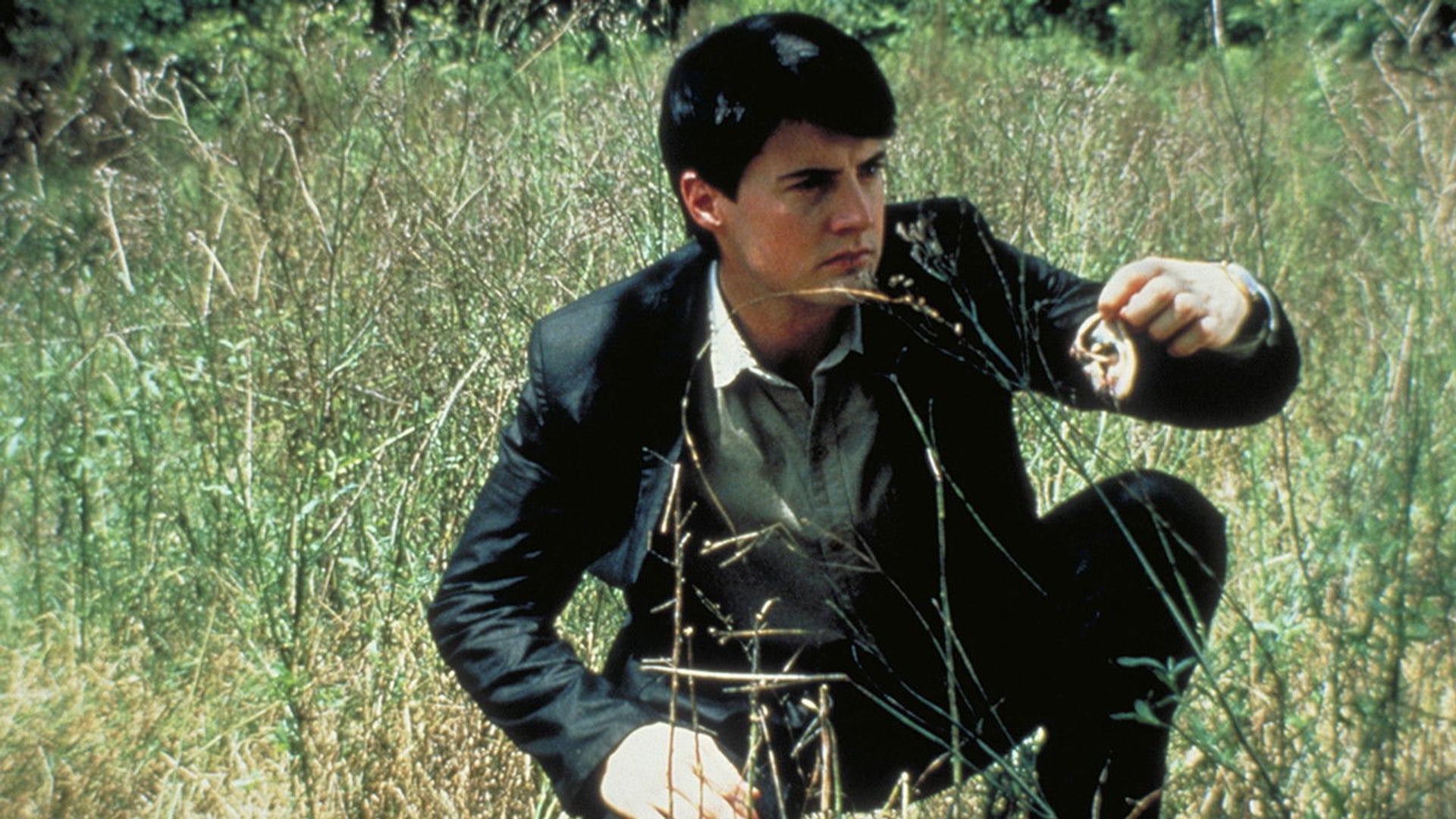 Foto do filme Veludo Azul