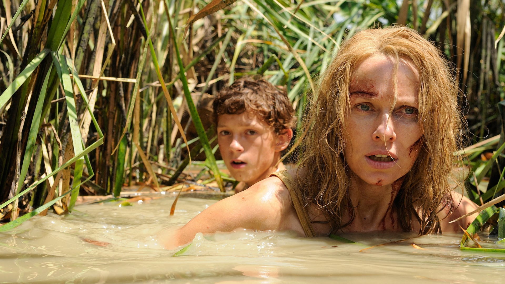 Foto do filme O Impossível