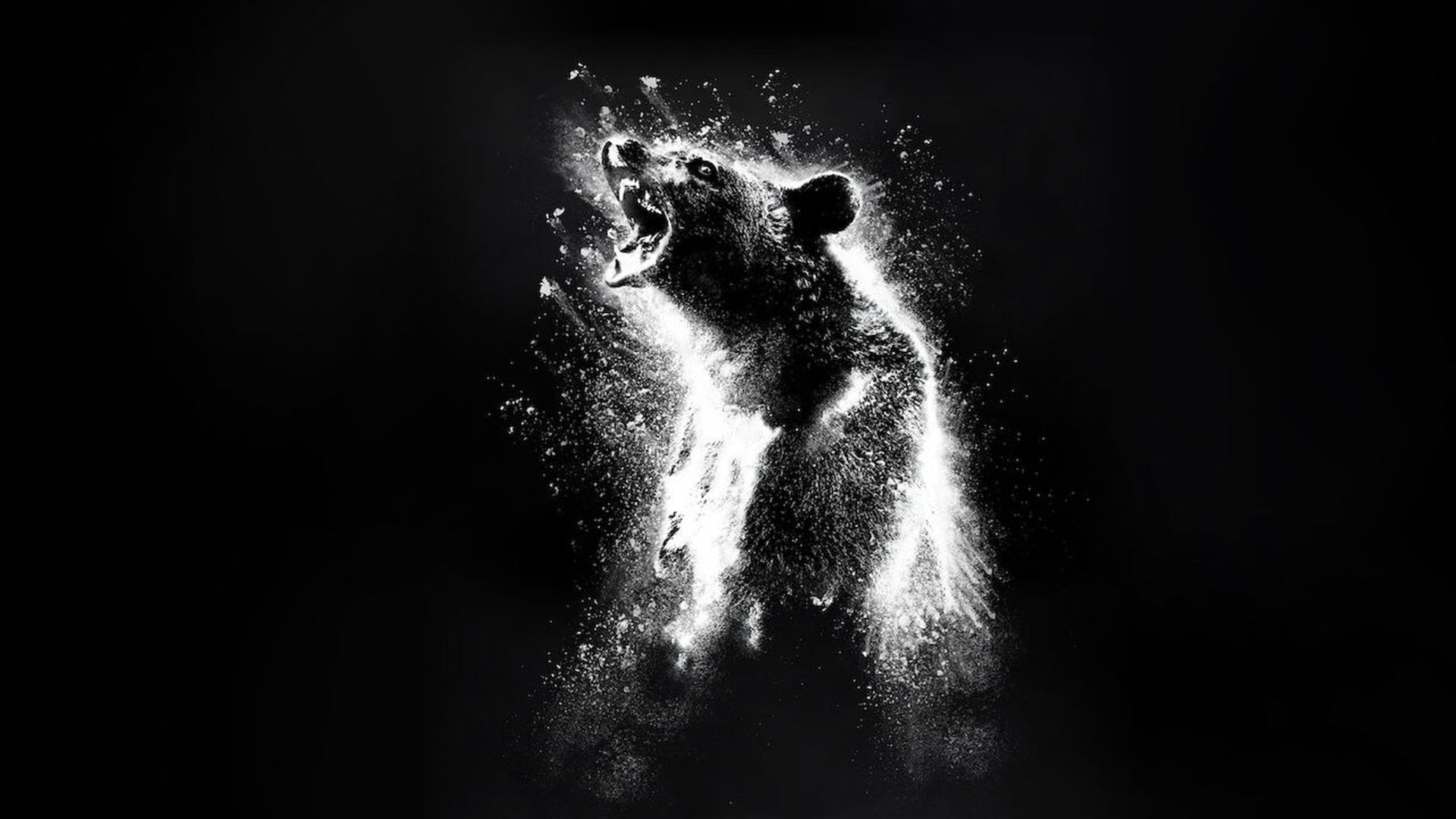 Foto do filme O Urso do Pó Branco