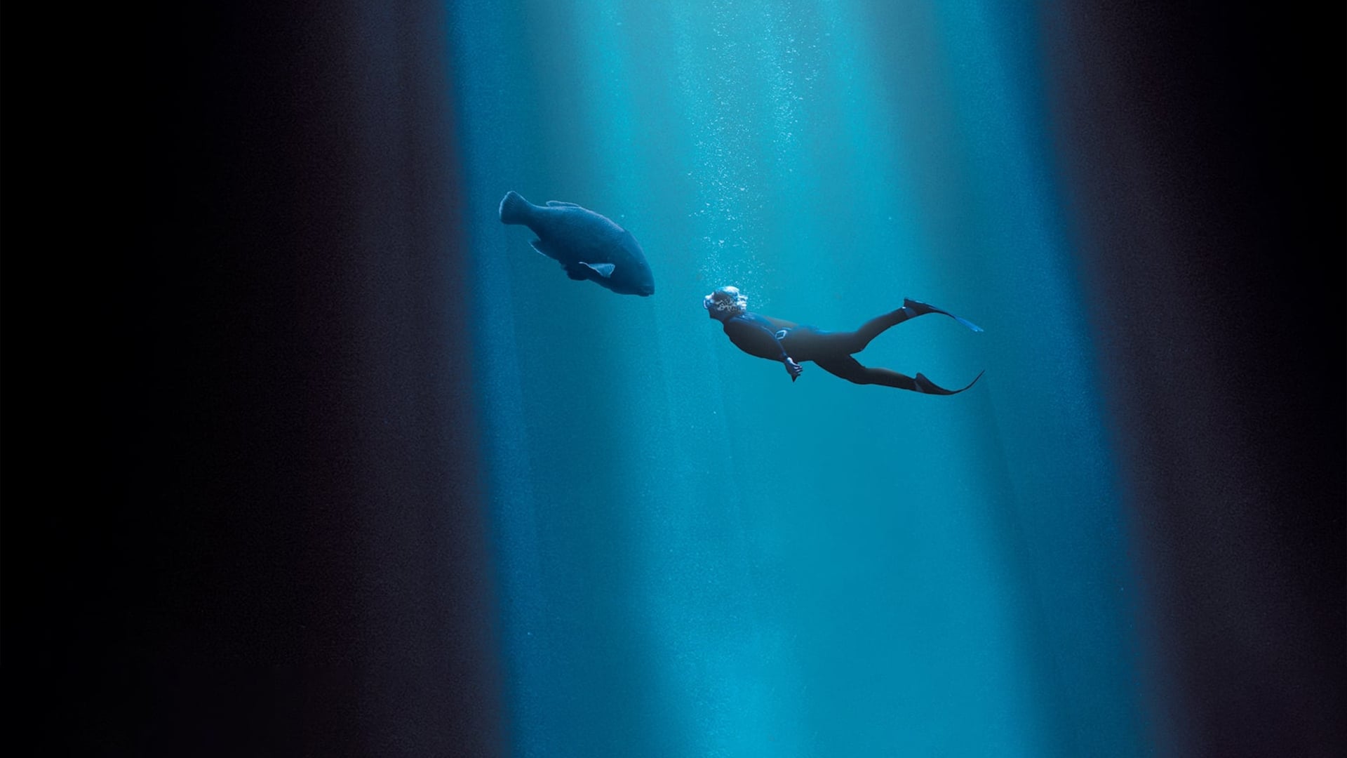 Foto do filme Blueback: Uma Amizade Profunda