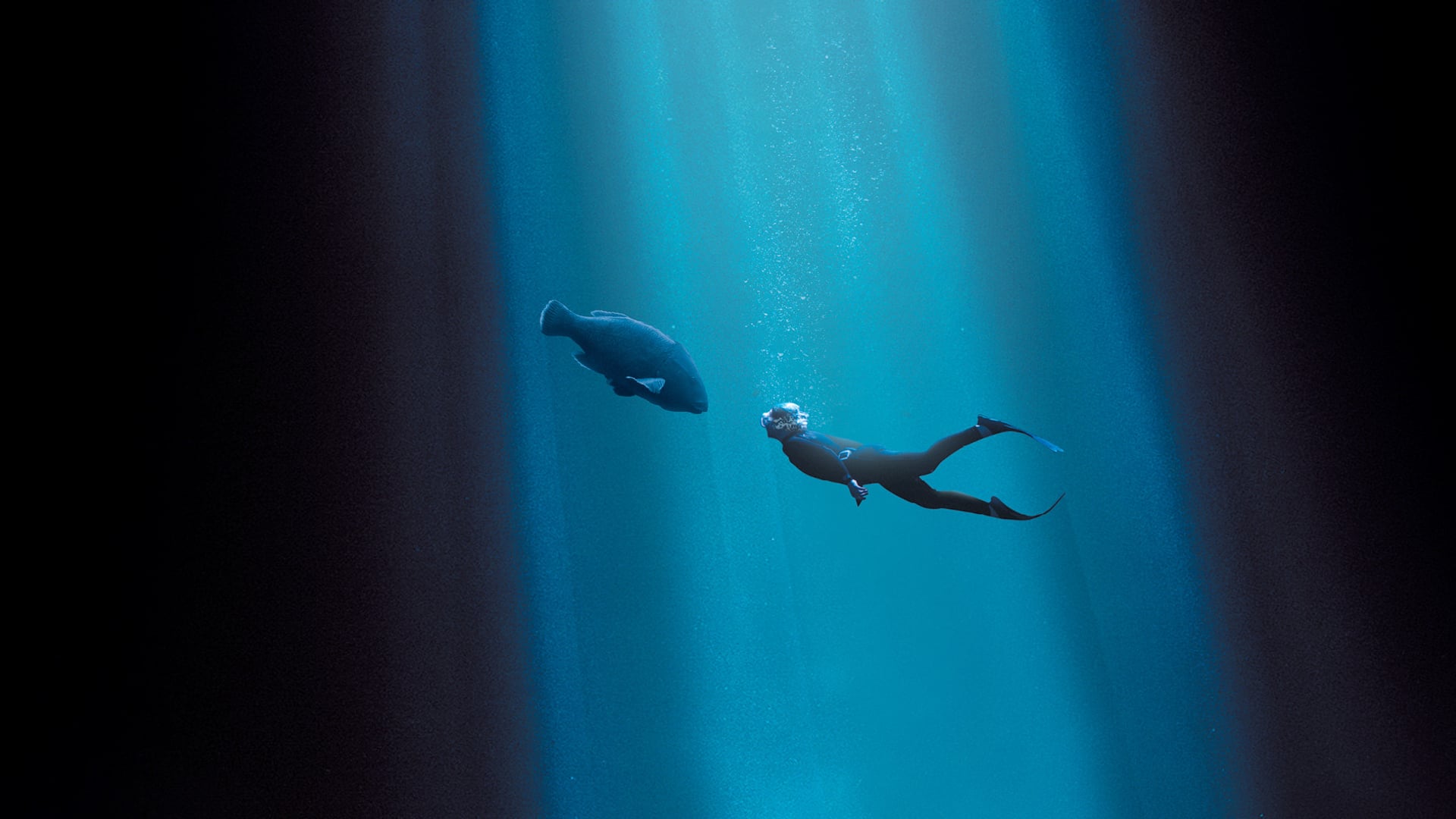 Foto do filme Blueback: Uma Amizade Profunda