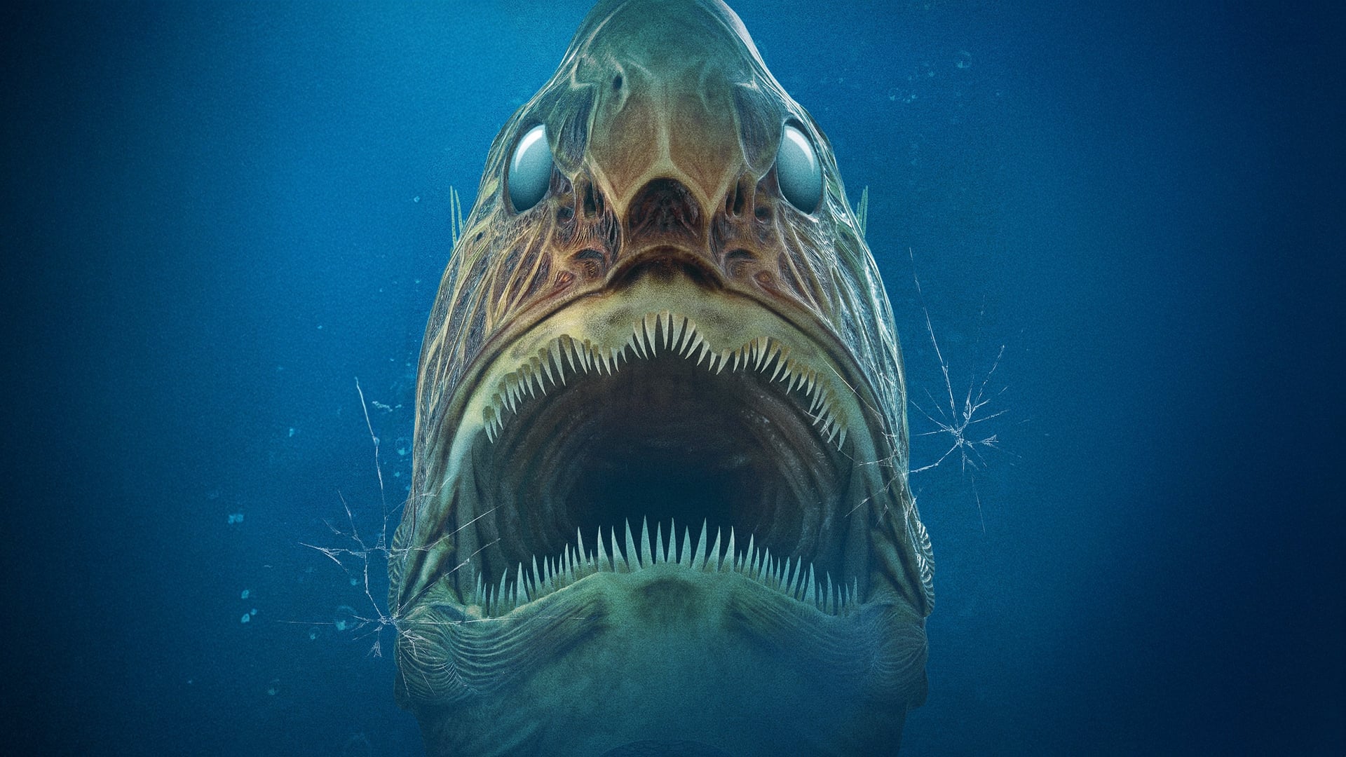 Foto do filme Aquarium of the Dead