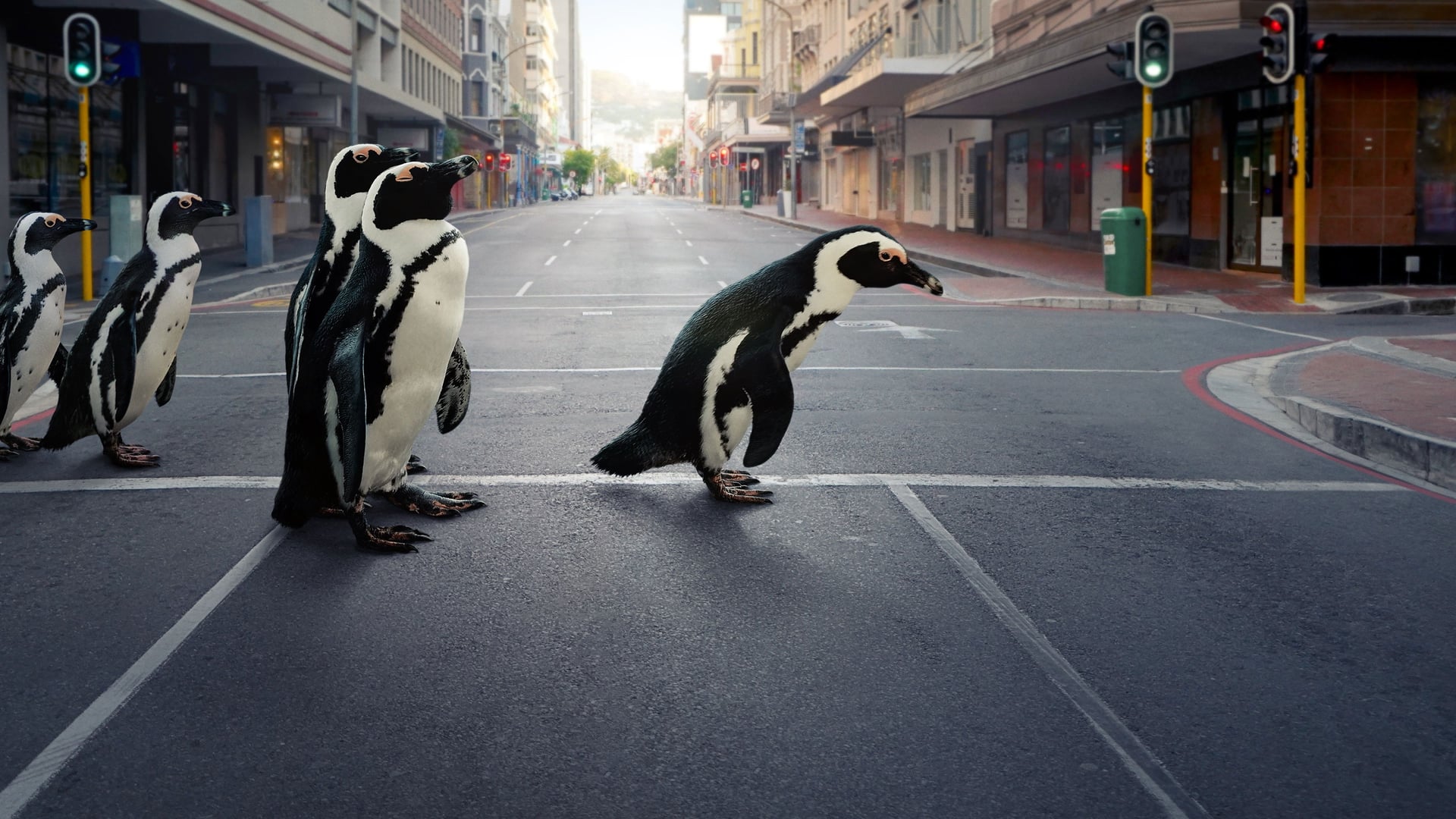 Foto do filme O Ano em que a Terra Mudou