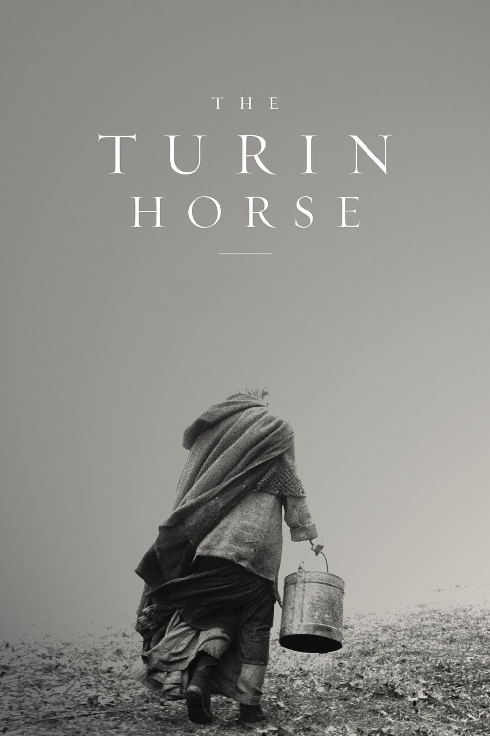 O Cavalo de Turim
