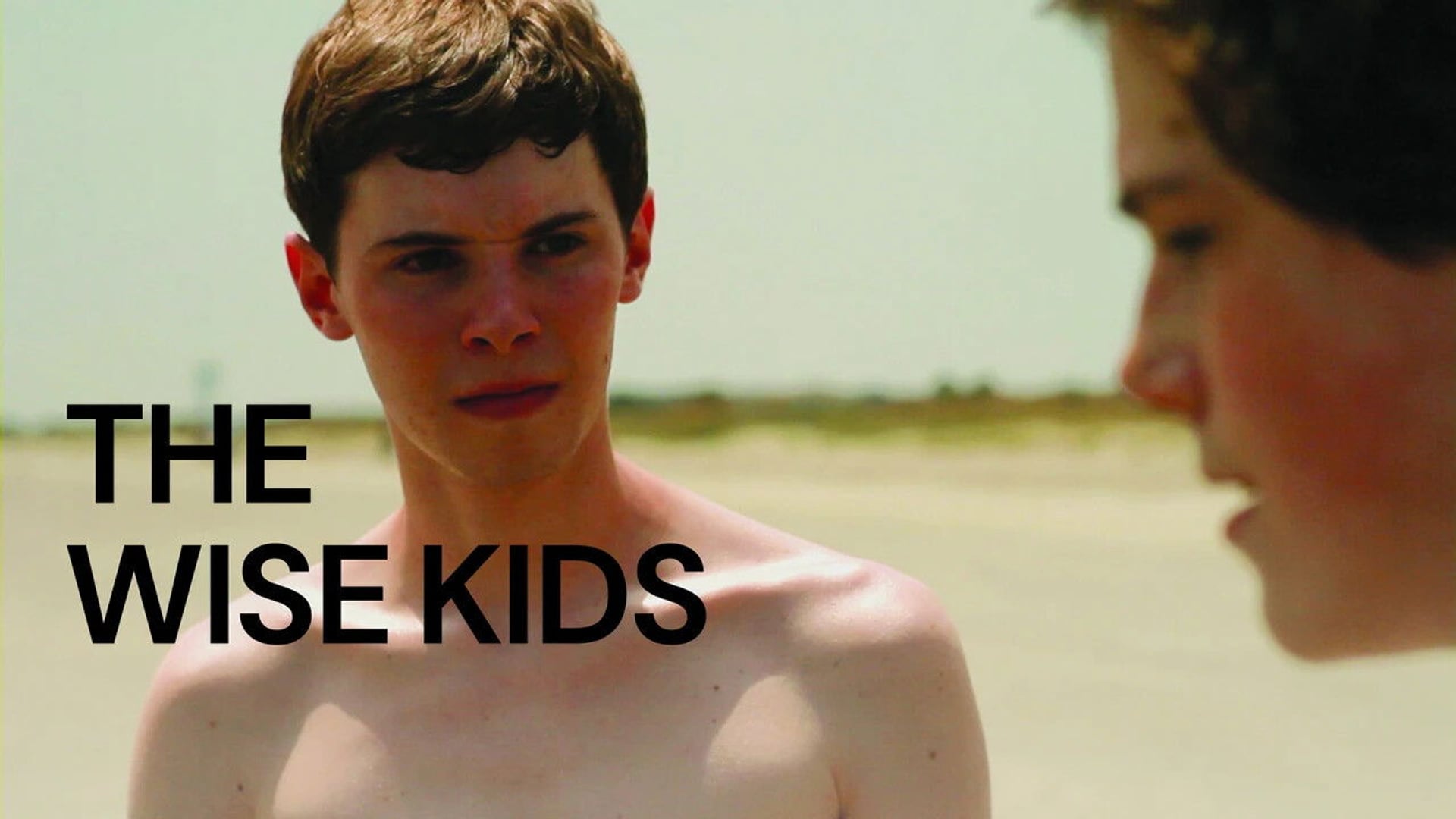 Foto do filme The Wise Kids