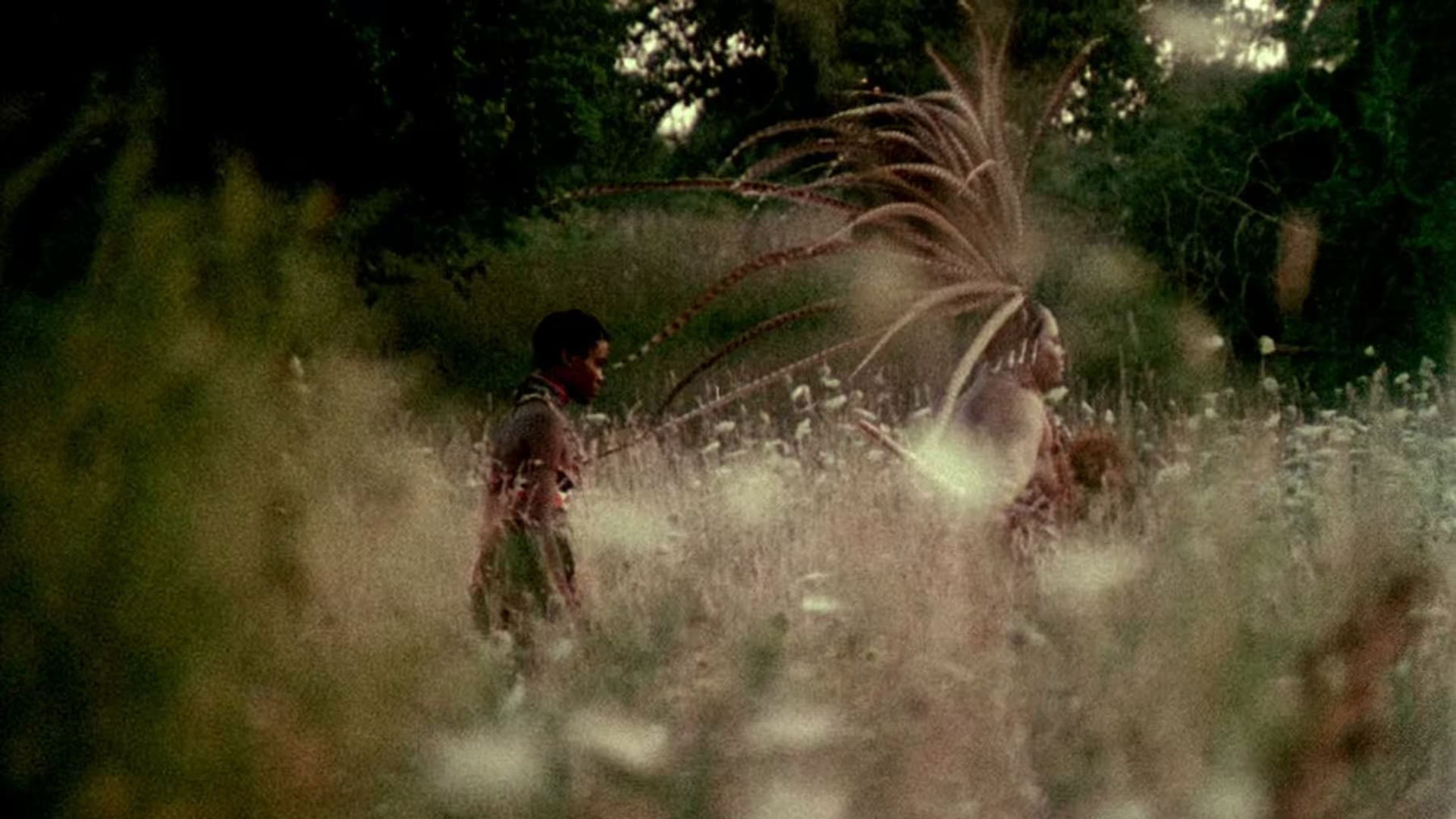 Foto do filme Ganja & Hess