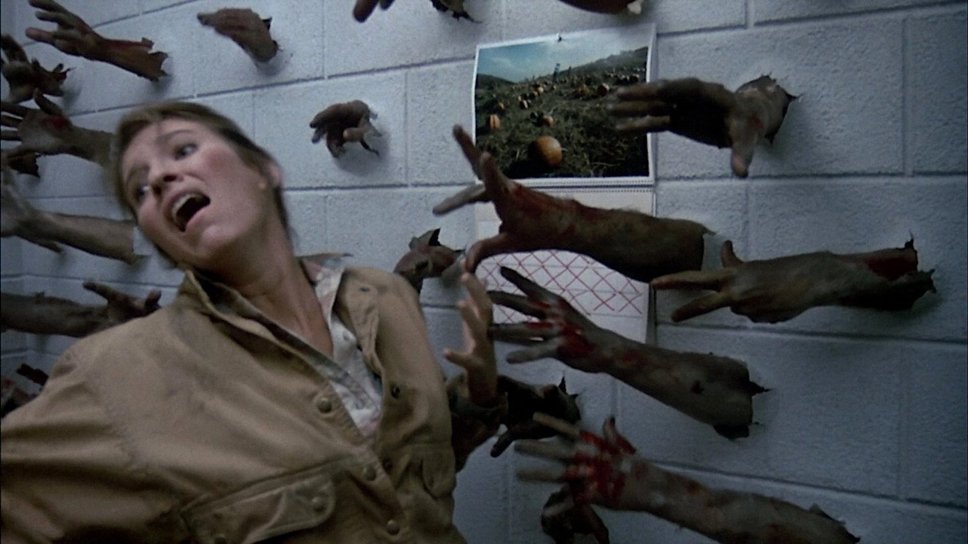 Foto do filme Dia dos Mortos