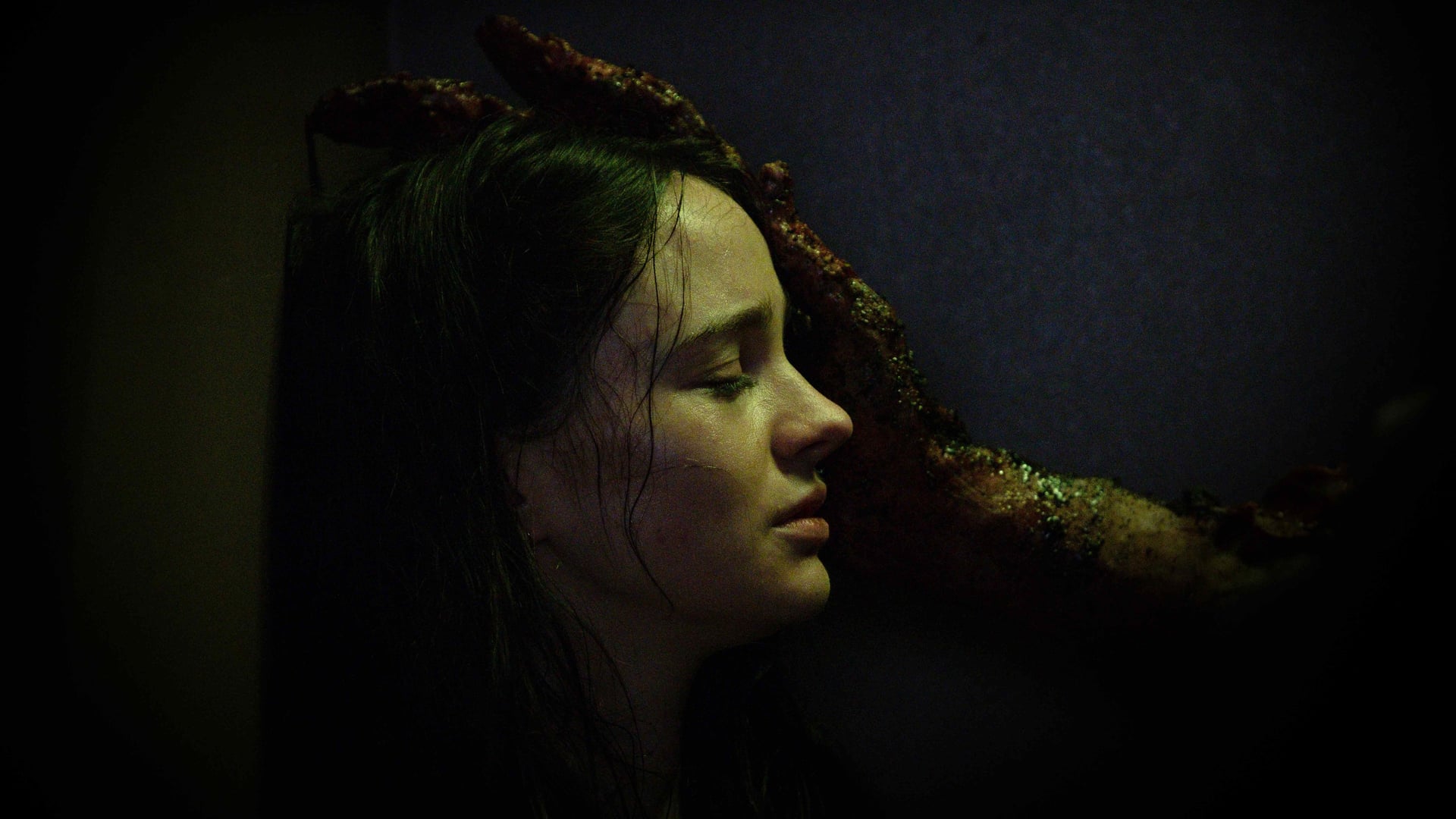 Foto do filme Stopmotion