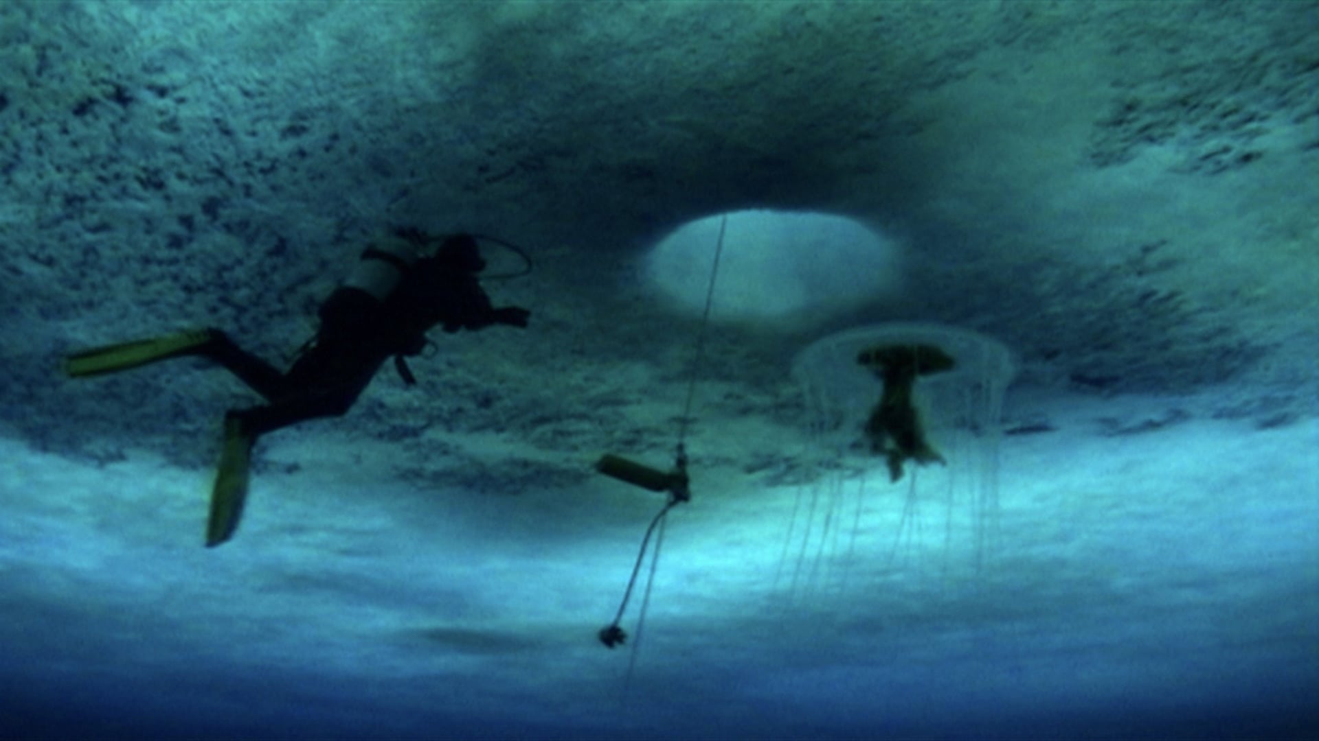 Foto do filme Além do Azul Selvagem