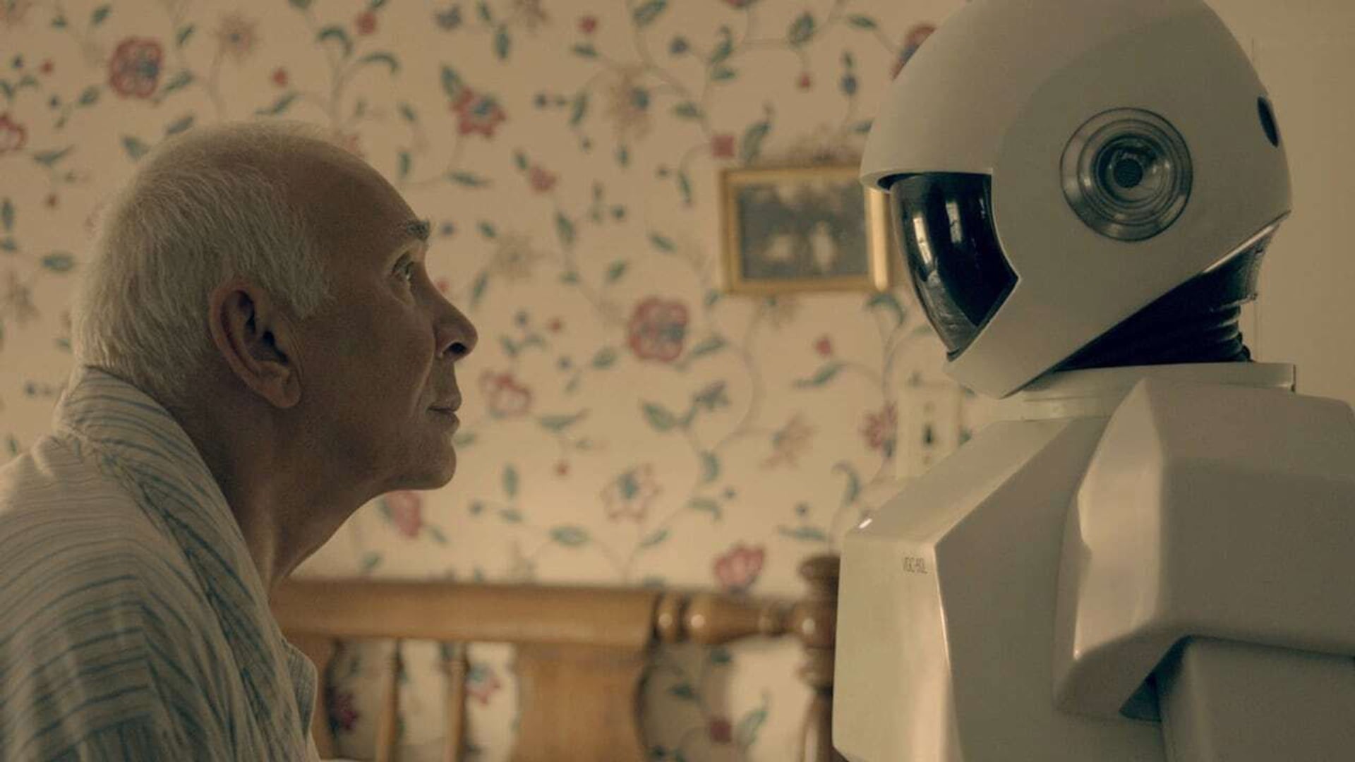 Foto do filme Frank e o Robô