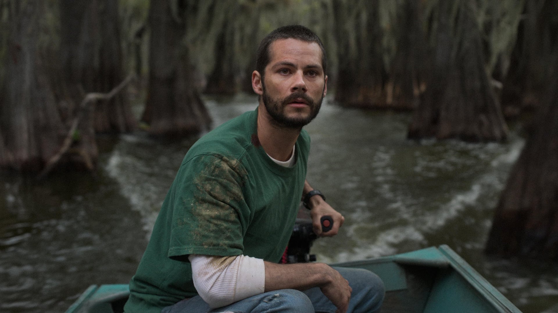 Foto do filme Os Horrores do Caddo Lake