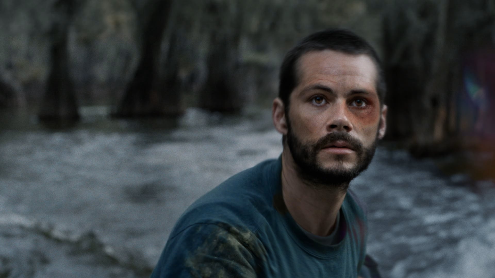Foto do filme Os Horrores do Caddo Lake