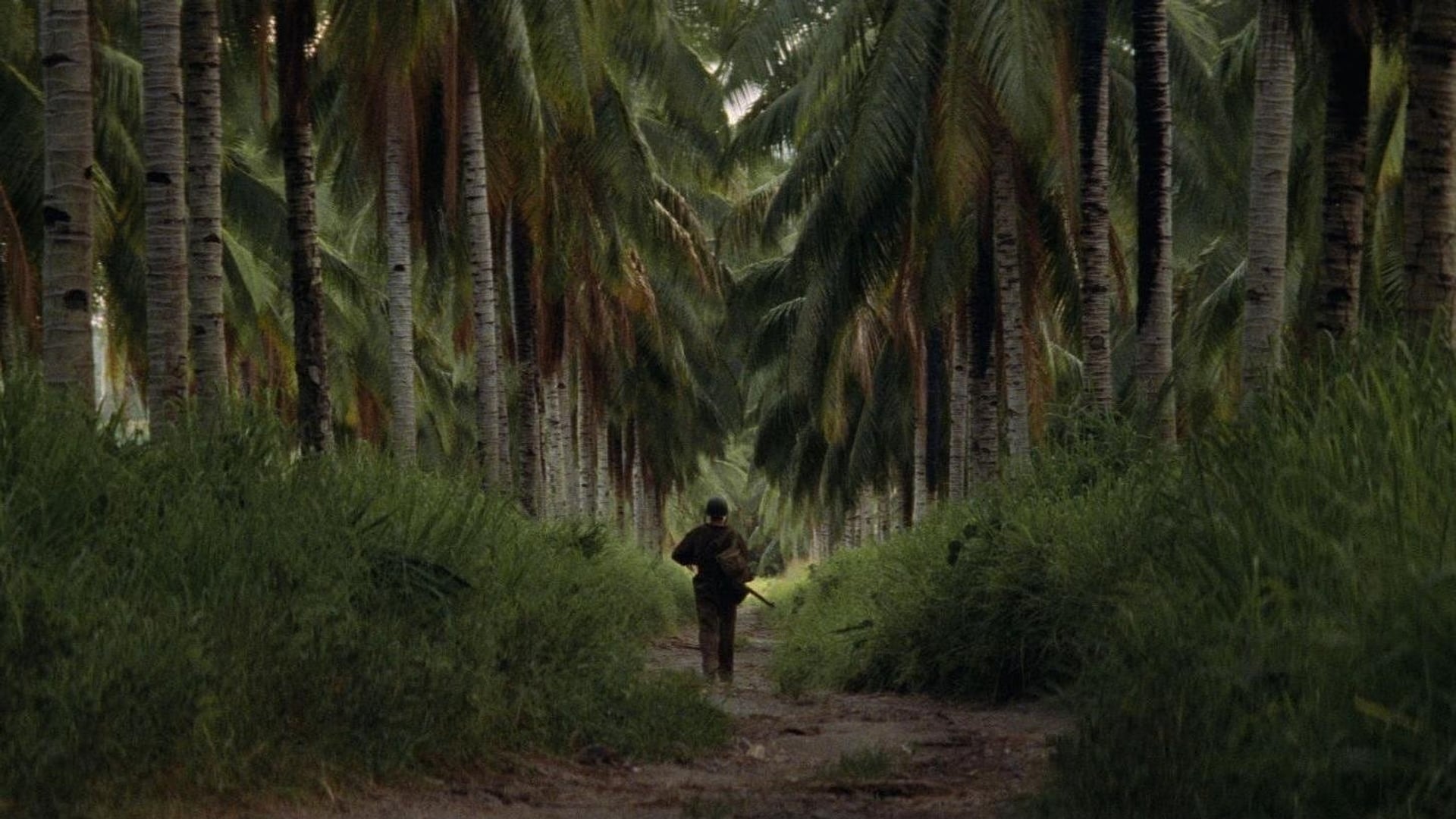 Foto do filme Além da Linha Vermelha
