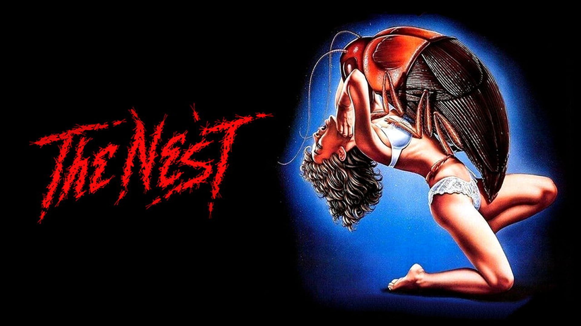 Foto do filme The Nest