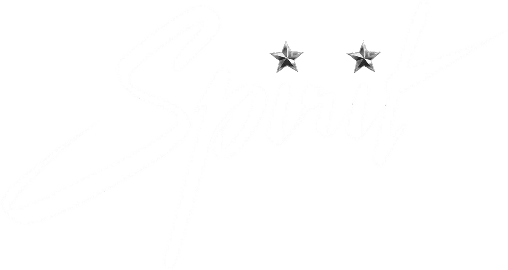 Foto do filme Spirit
