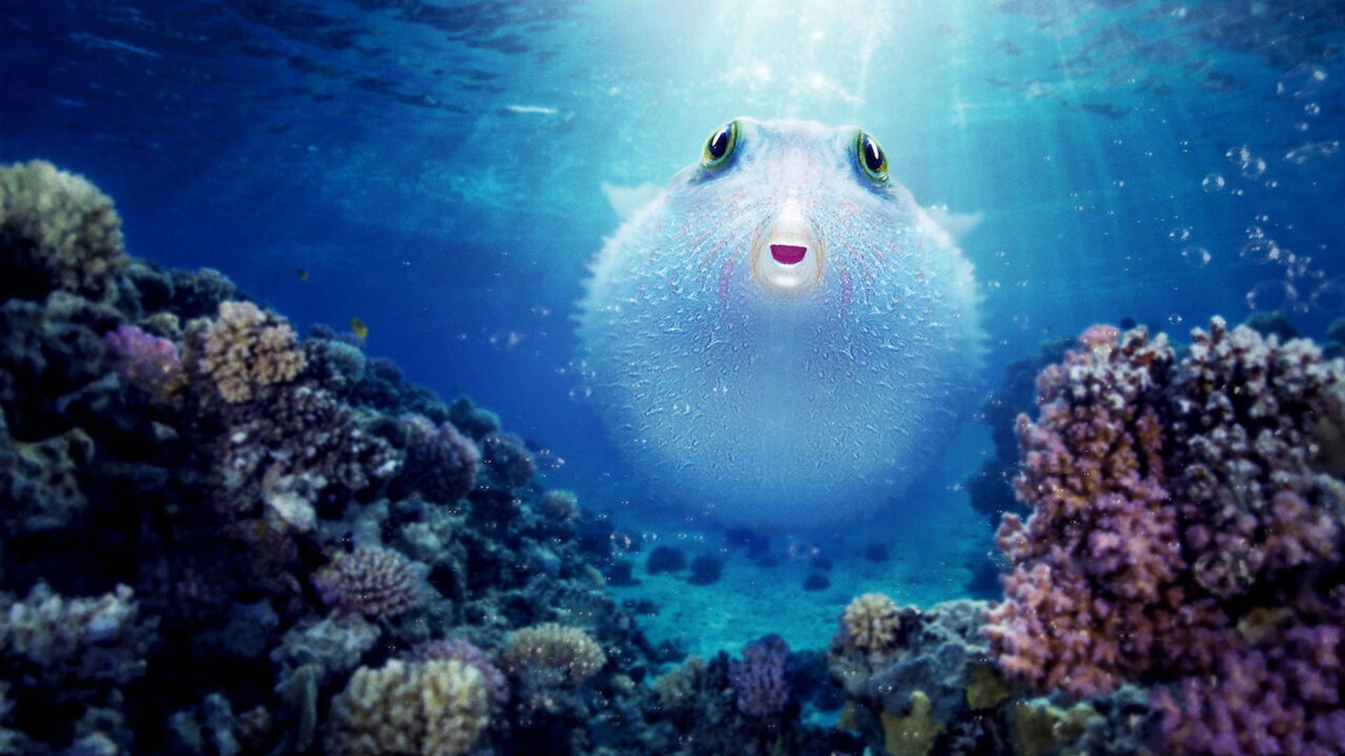 Foto do filme O Fascinante Mundo dos Corais