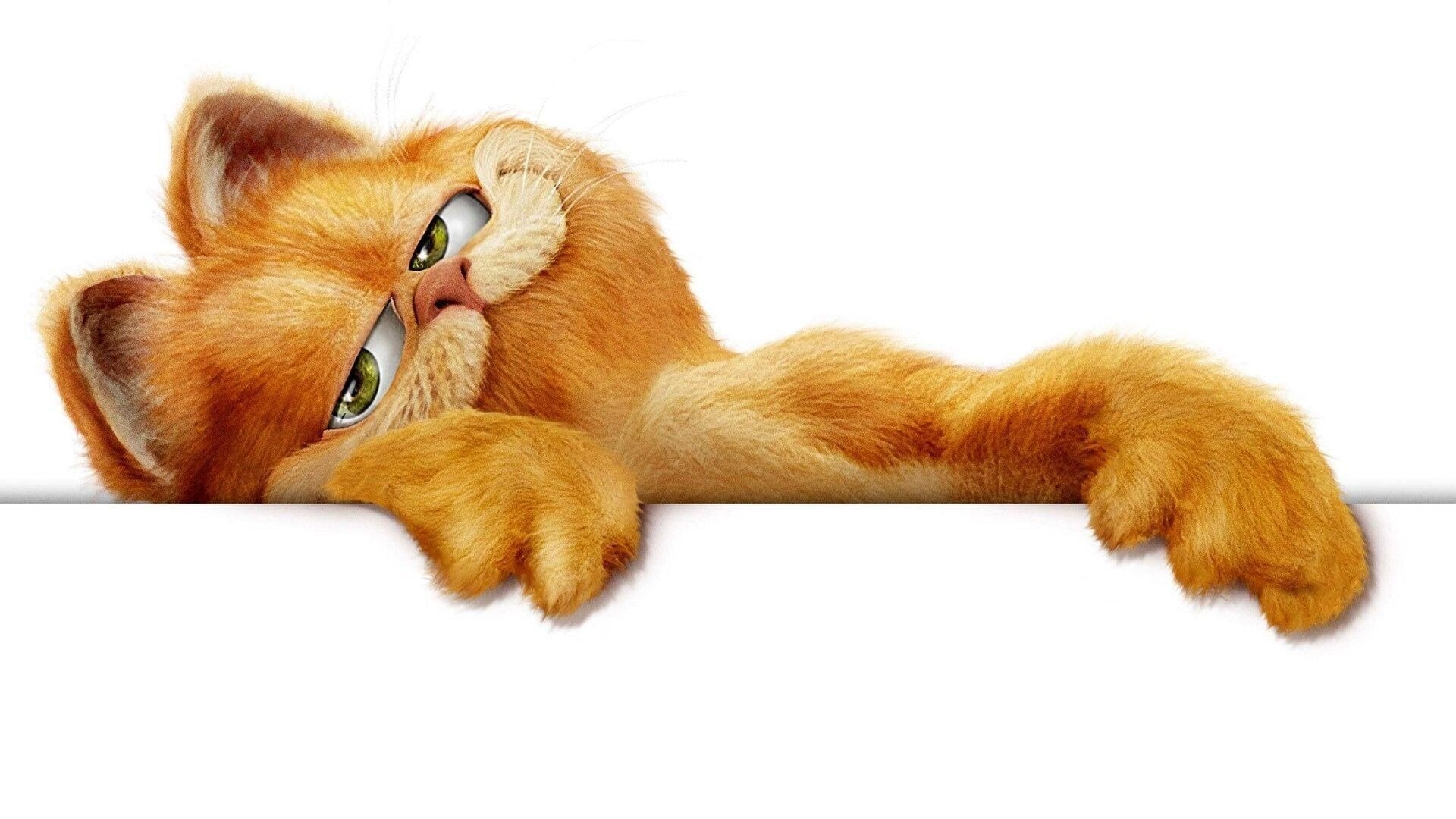 Foto do filme Garfield: O Filme