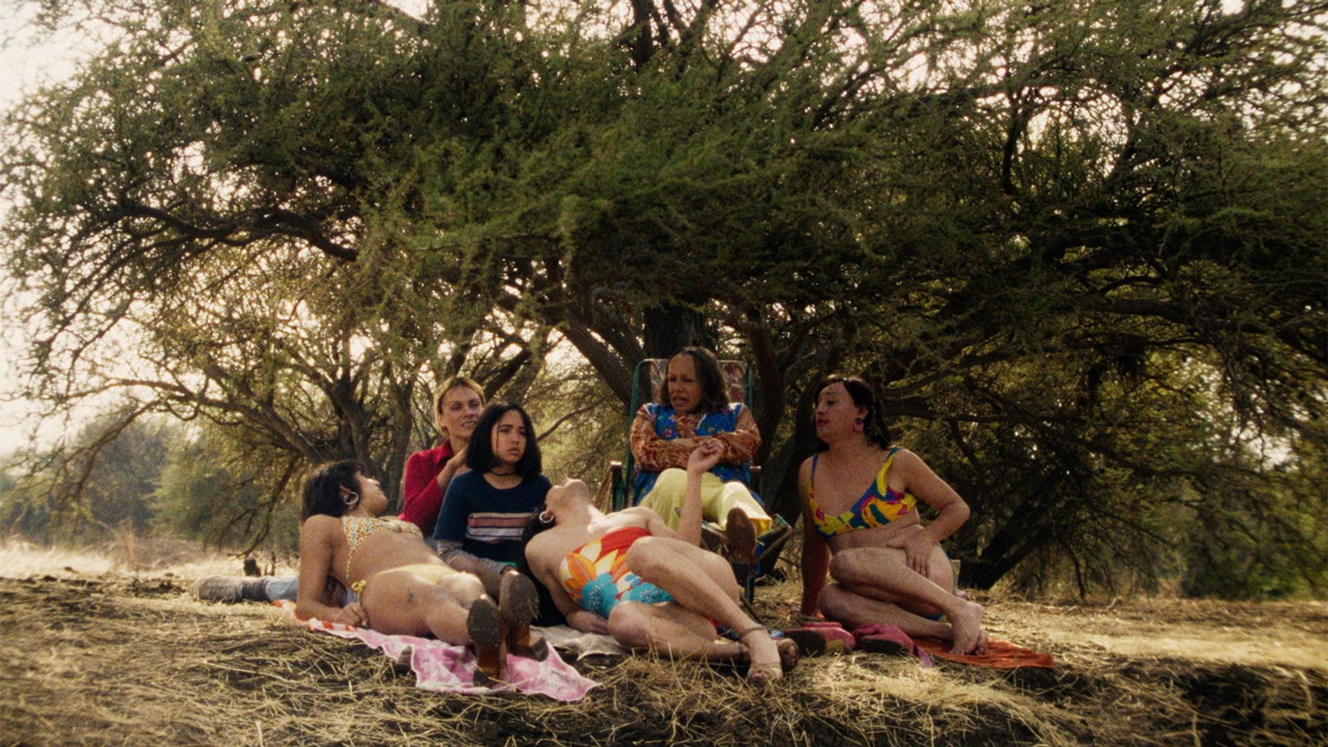 Foto do filme O Olhar Misterioso do Flamingo