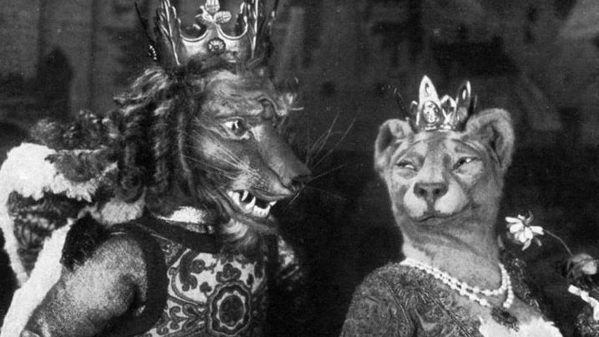 Foto do filme The Tale of the Fox