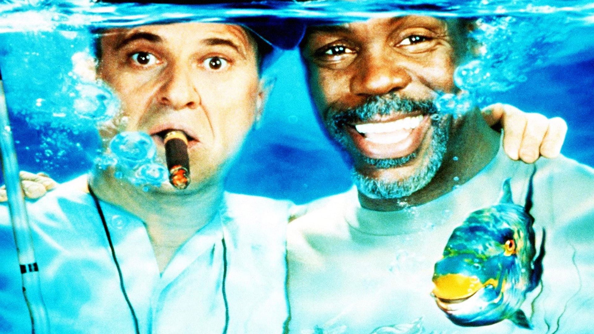Foto do filme Pescando Confusão