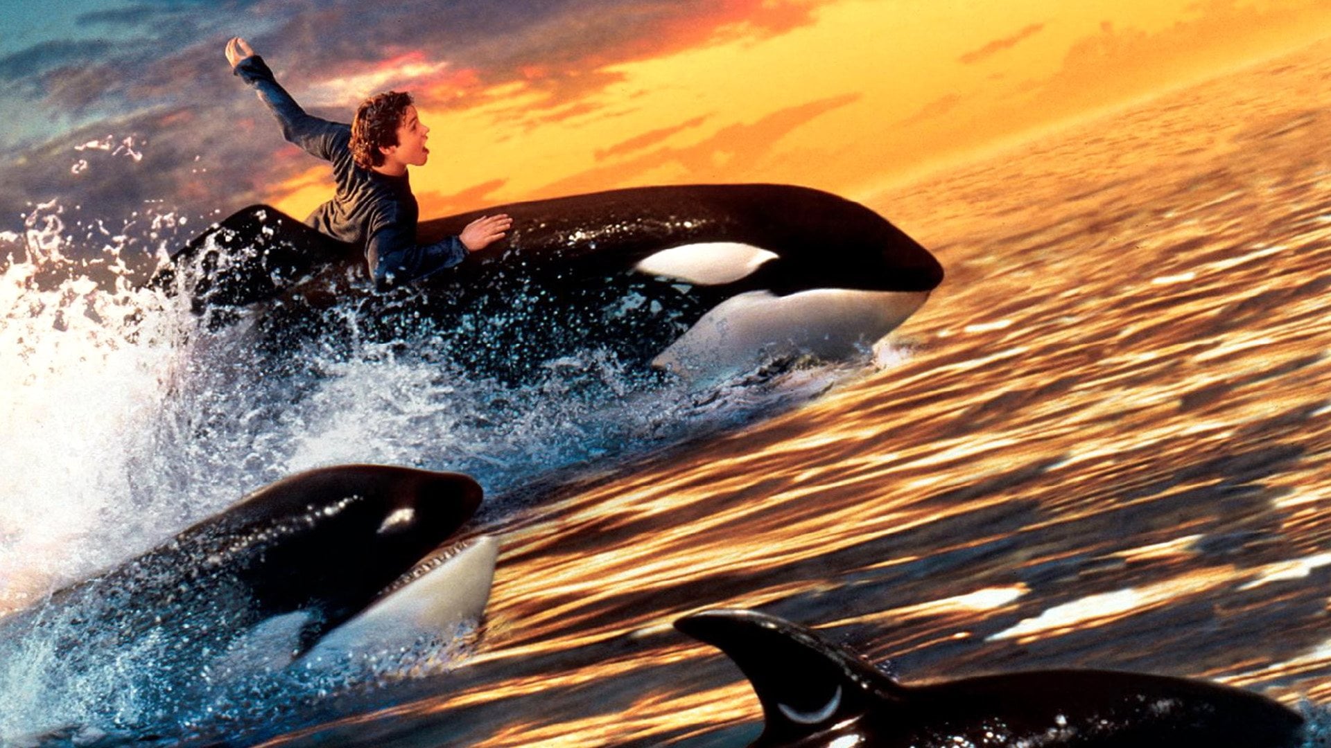 Foto do filme Free Willy 2 - A Aventura Continua