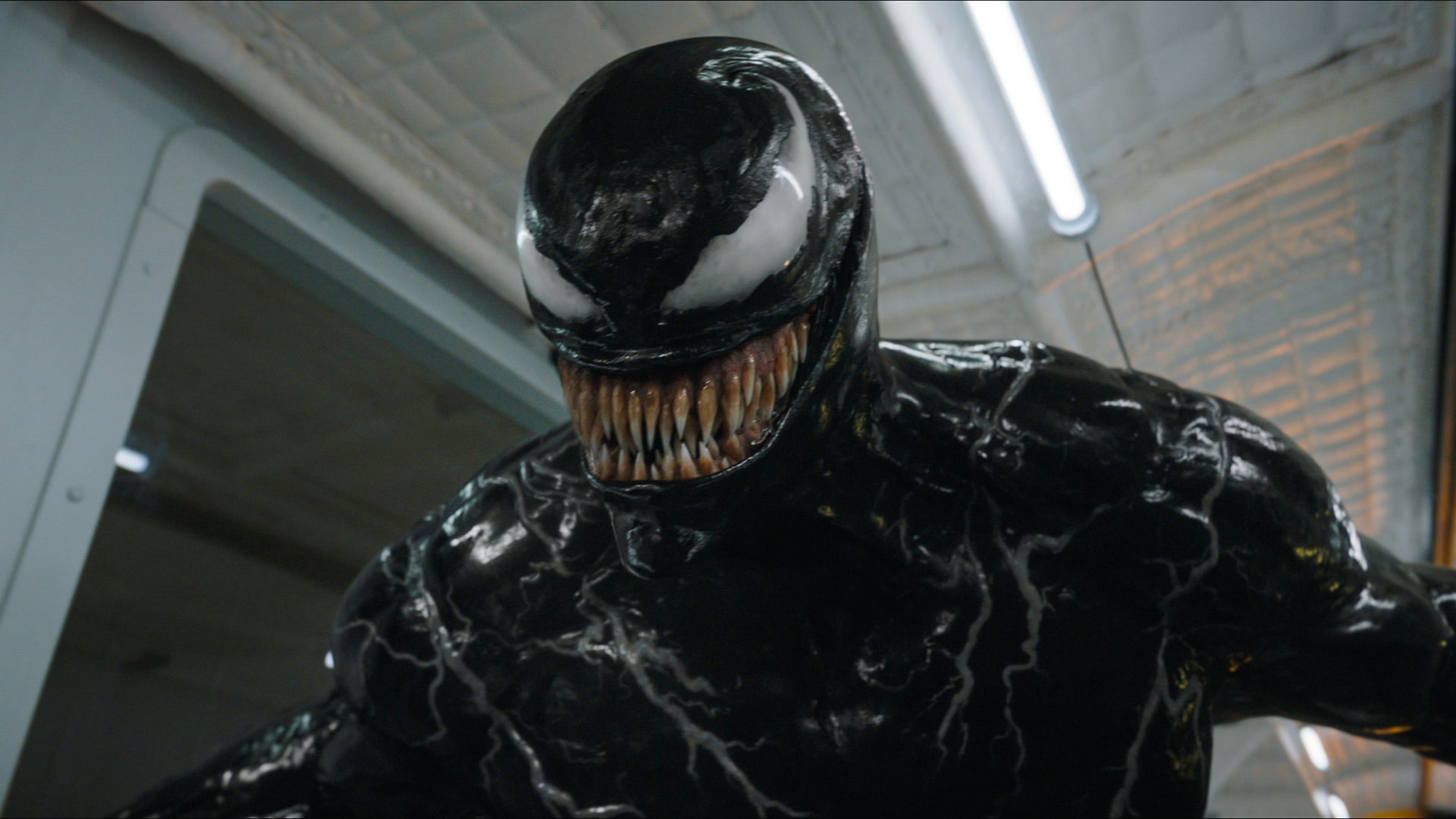 Foto do filme Venom: A Última Rodada