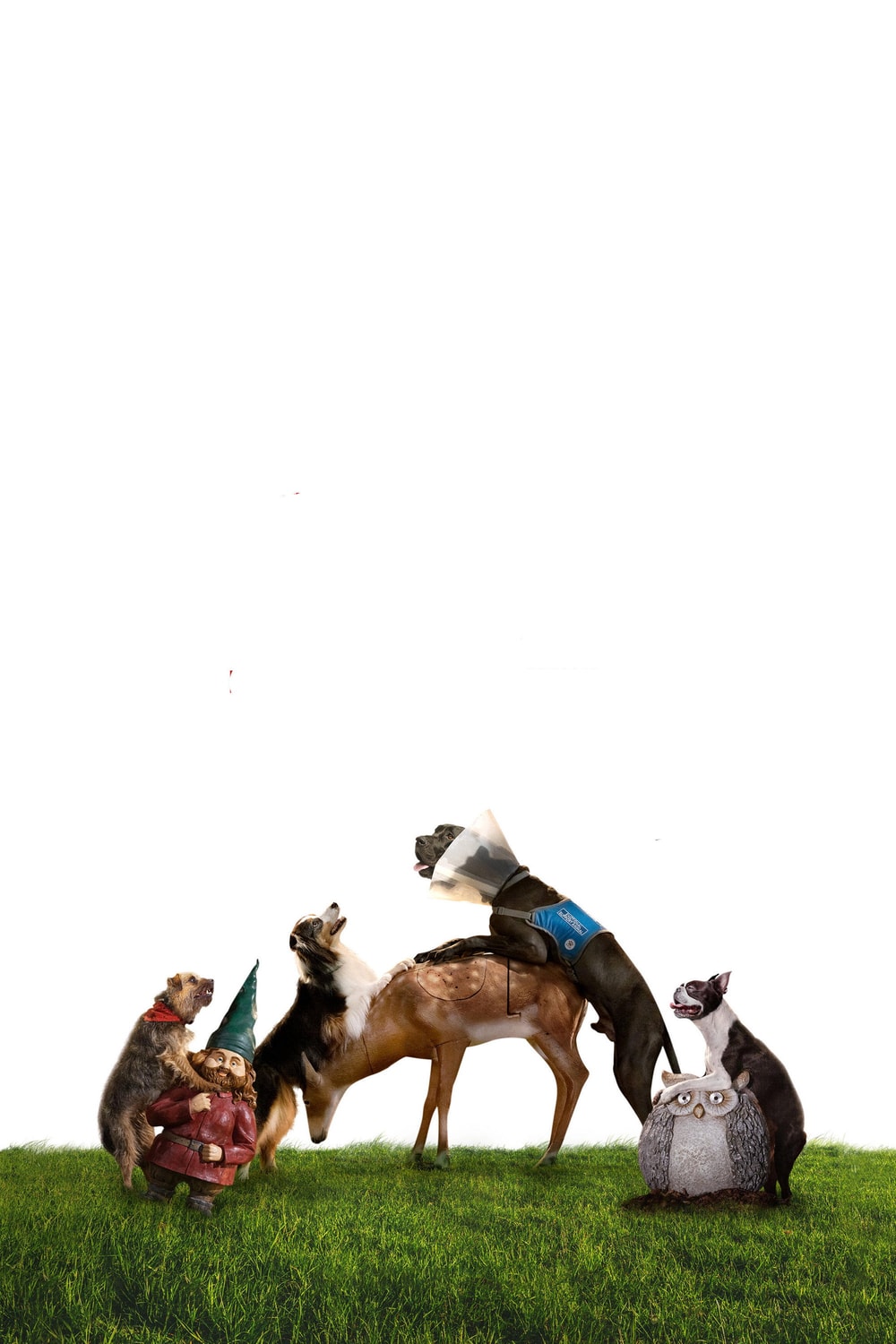 Ruim pra Cachorro