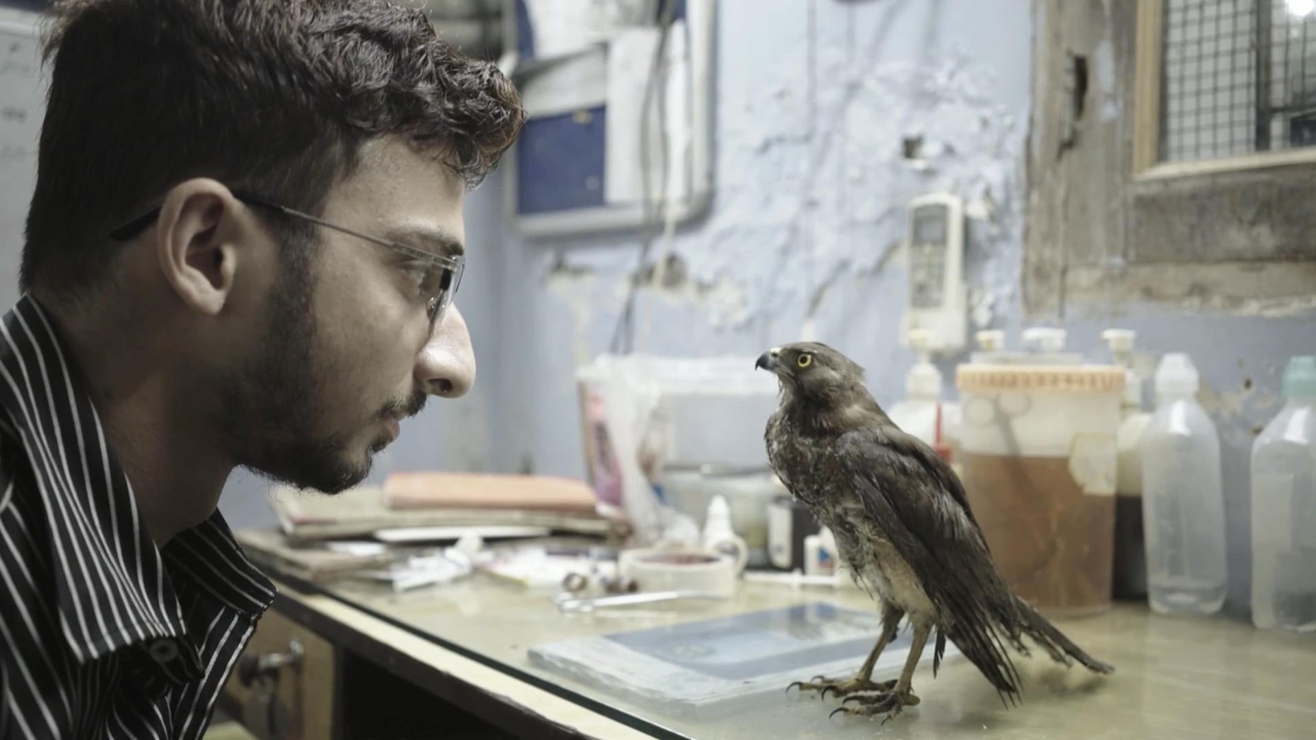 Foto do filme Tudo O Que Respira