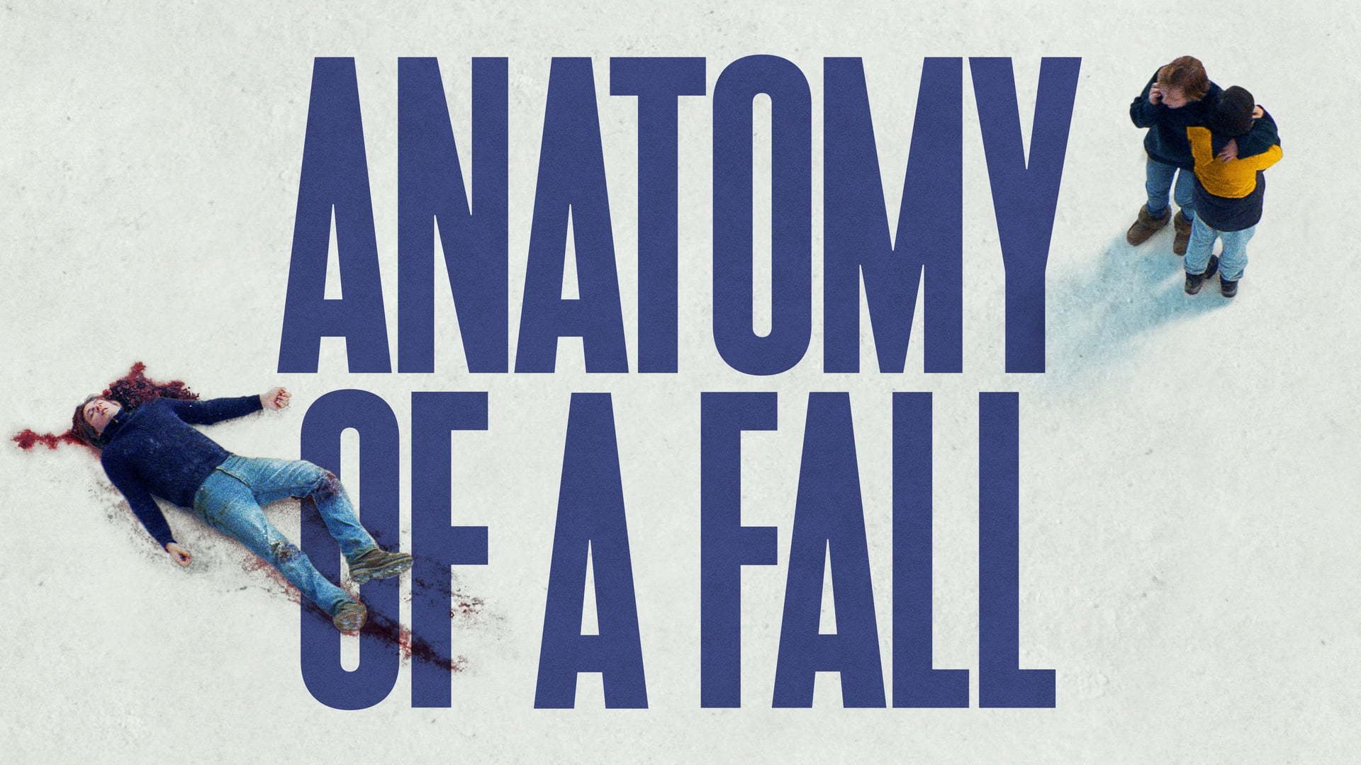 Foto do filme Anatomia de uma Queda