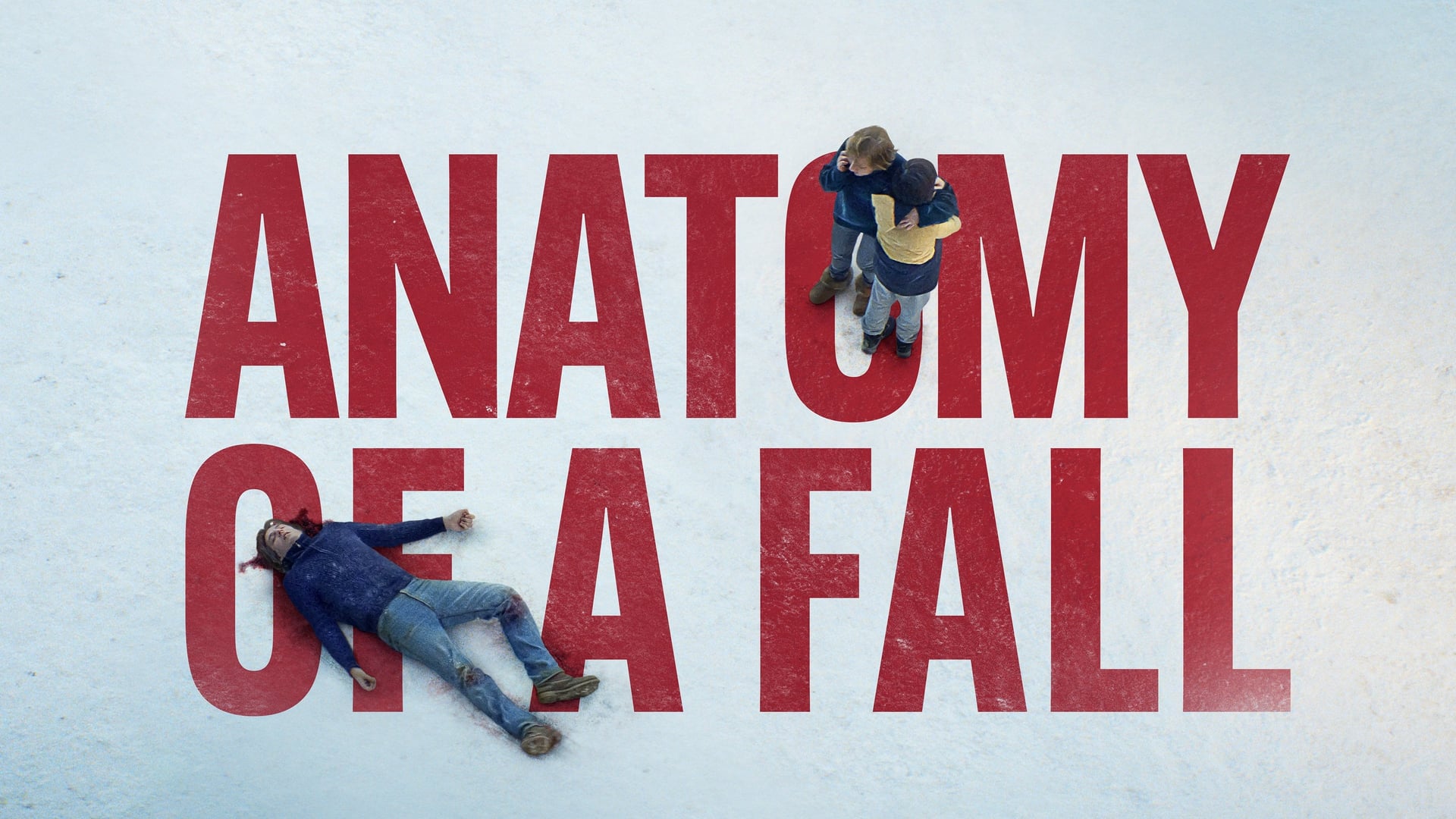 Foto do filme Anatomia de uma Queda