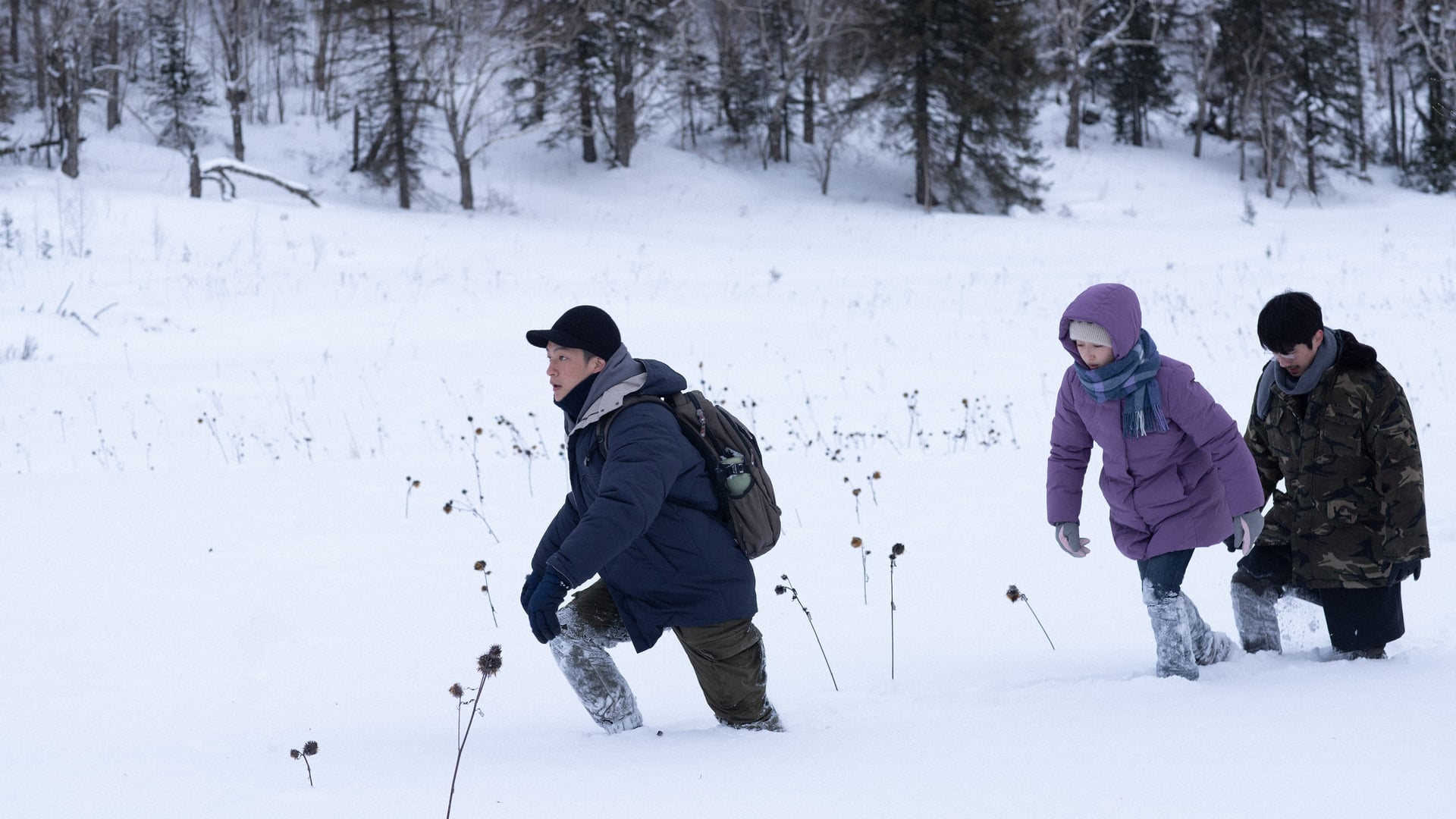 Foto do filme The Breaking Ice