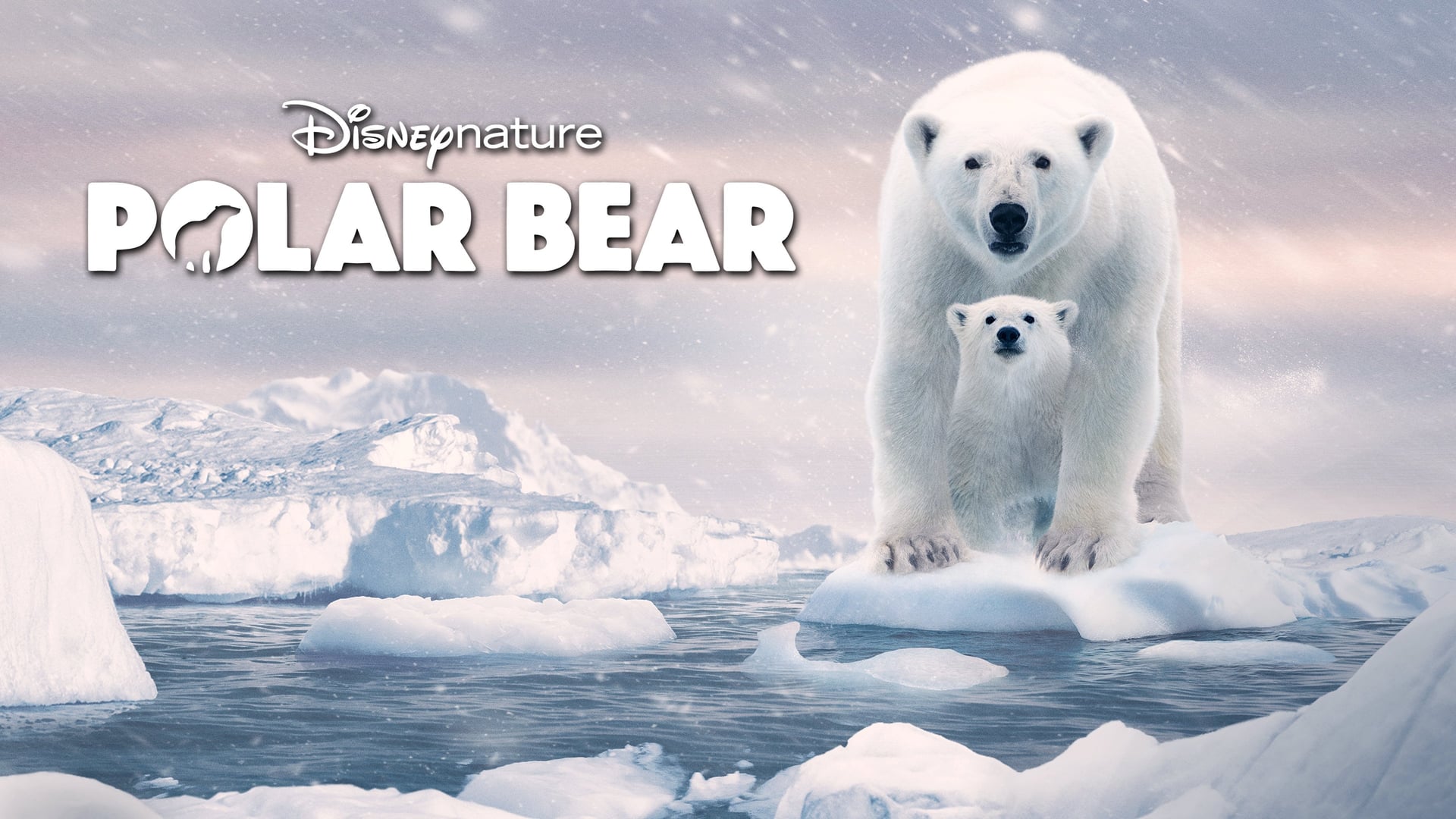 Foto do filme A Ursa Polar