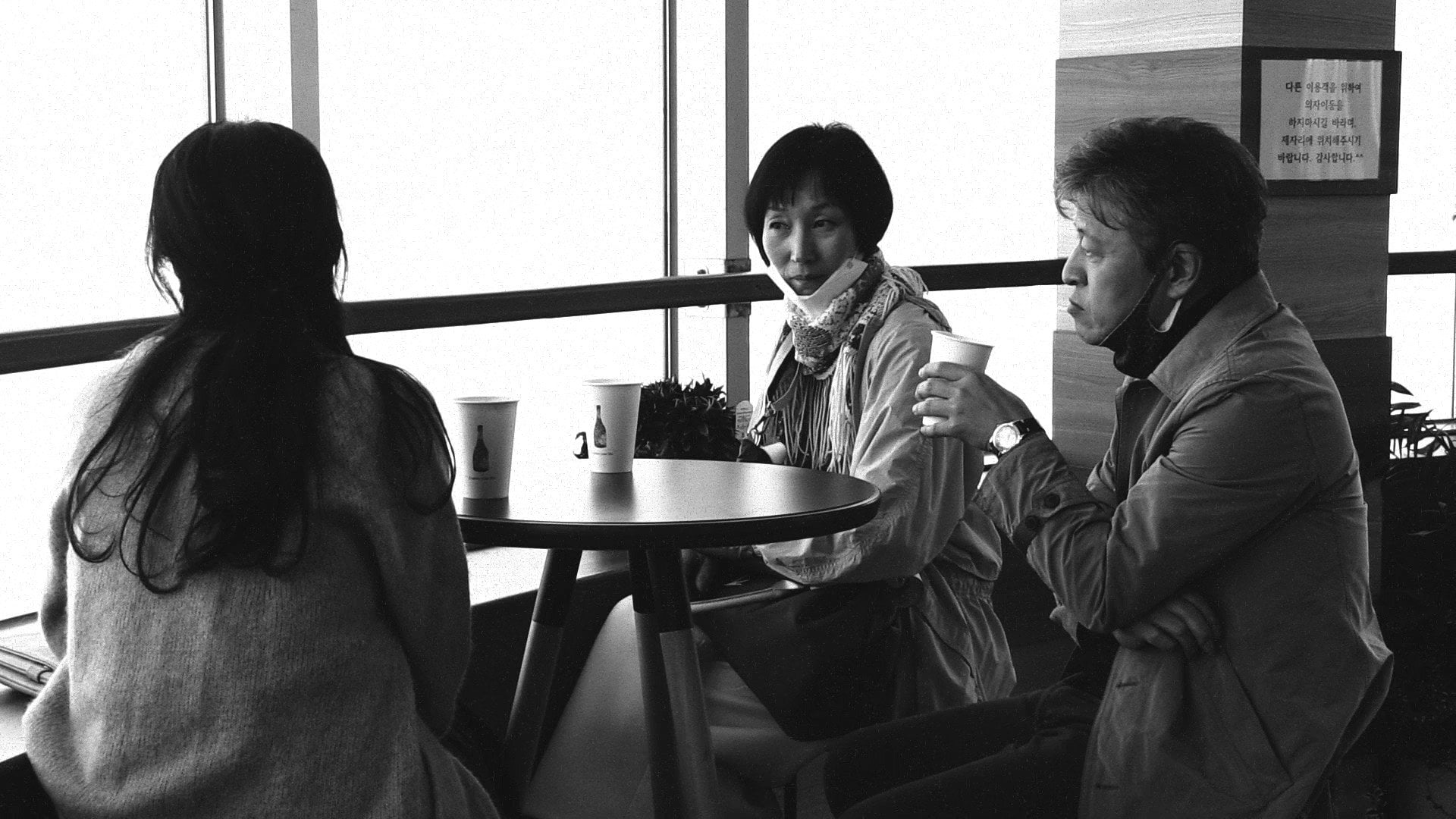 Foto do filme A Romancista e o seu Filme