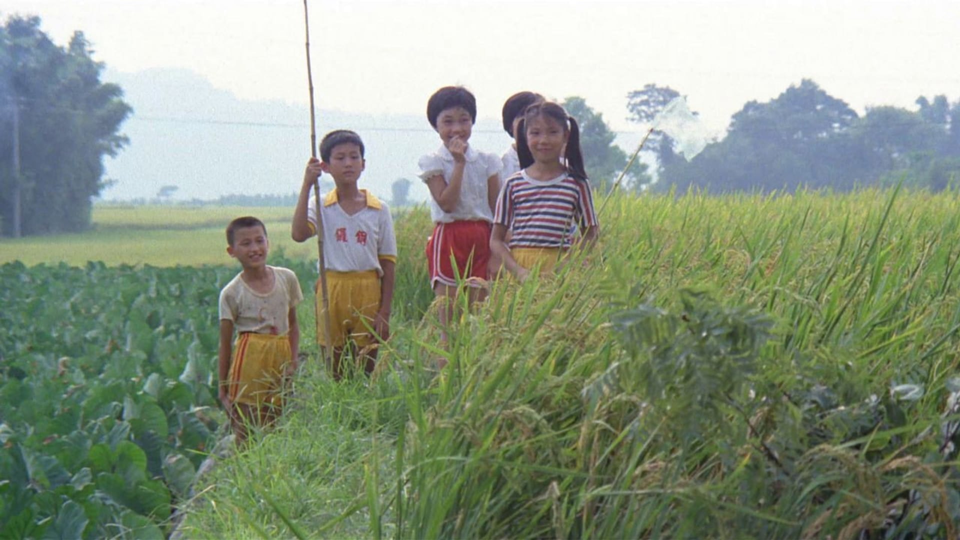 Foto do filme Um Verão na Casa do Vovô